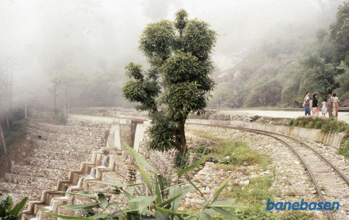 Et sted på strækningen mellem Kurseong og Sonada
