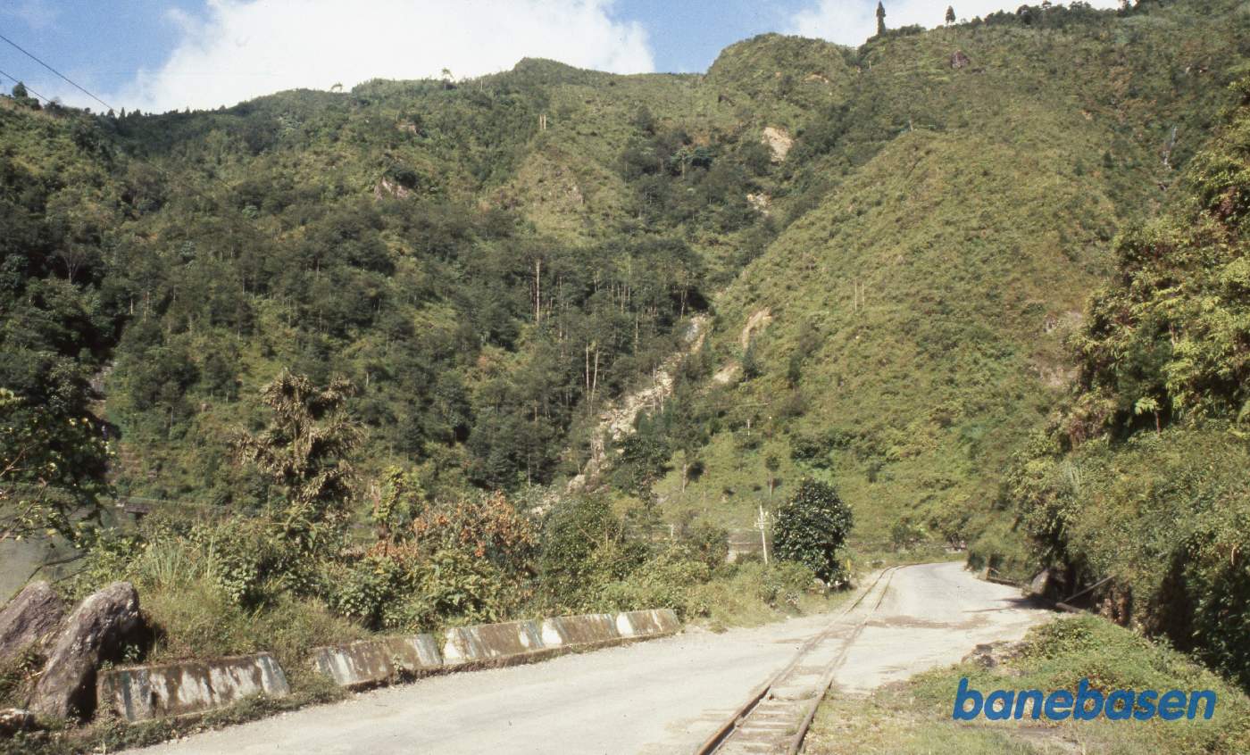 Et sted på strækningen mellem Kurseong og Sonada