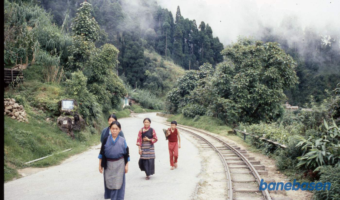 Et sted på strækningen mellem Kurseong og Sonada