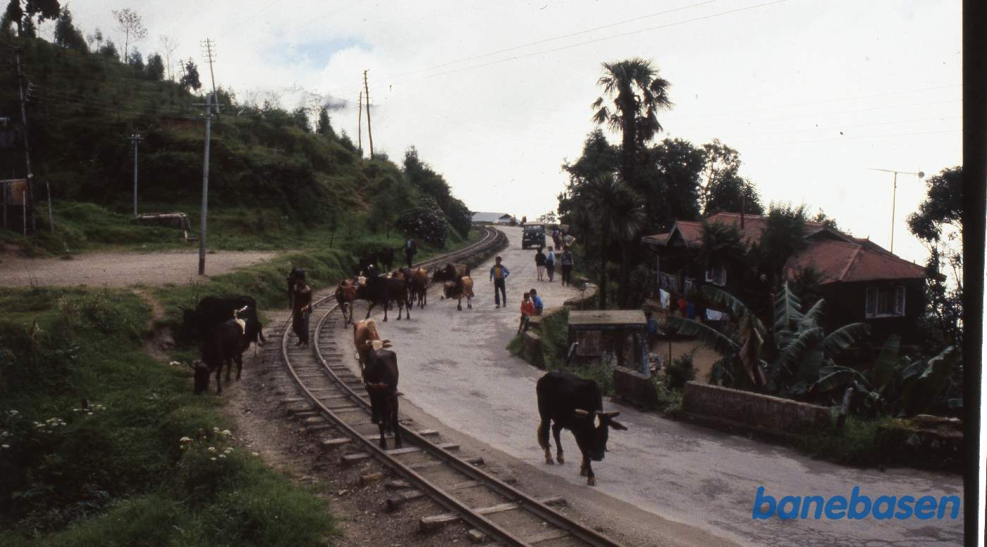Et sted på strækningen mellem Sonada og Ghum