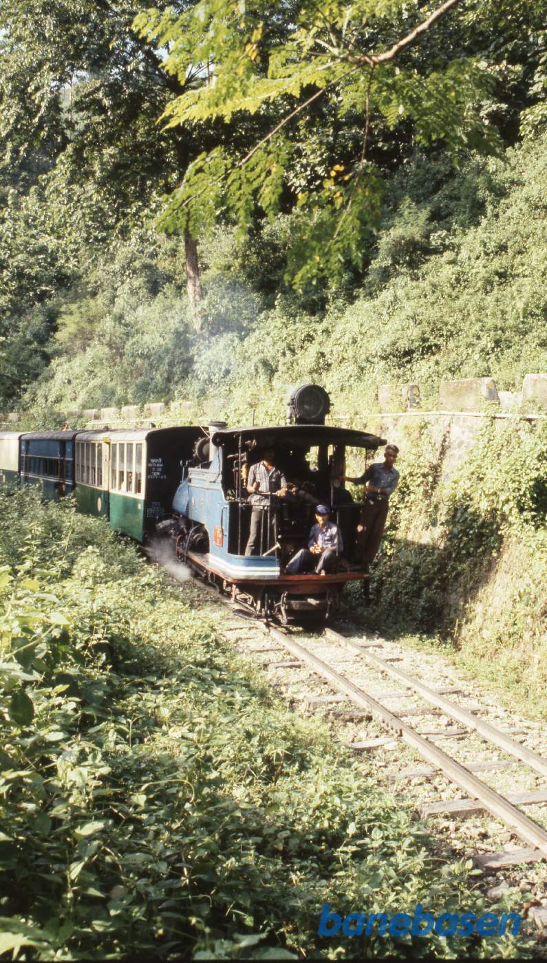 Damptoget på vej ned gennem regnskoven