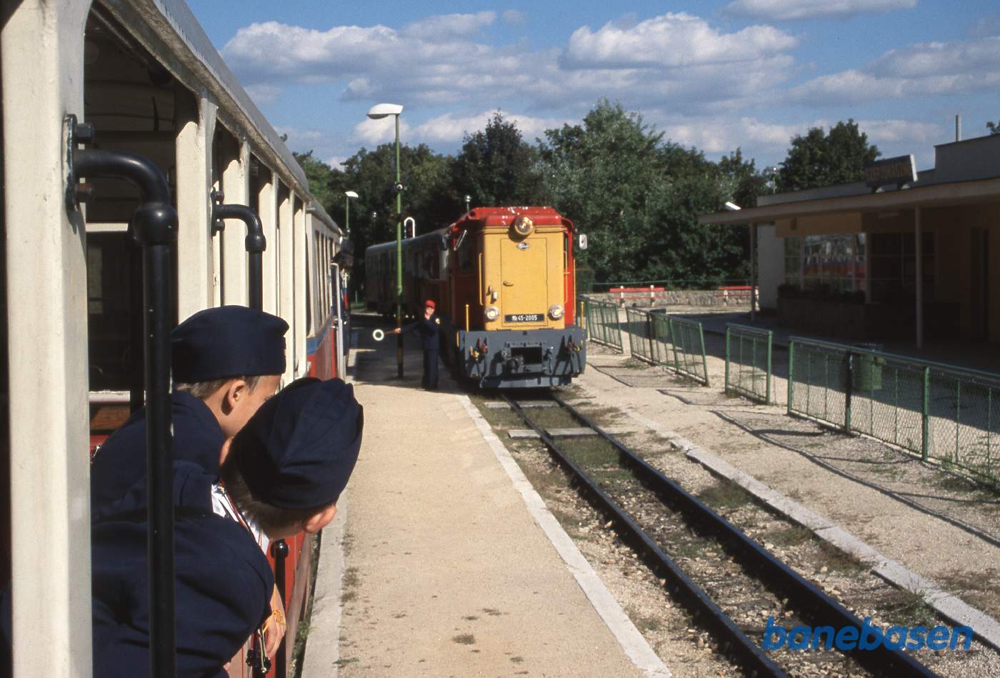 Krydsning på stationen med et modkørende persontog