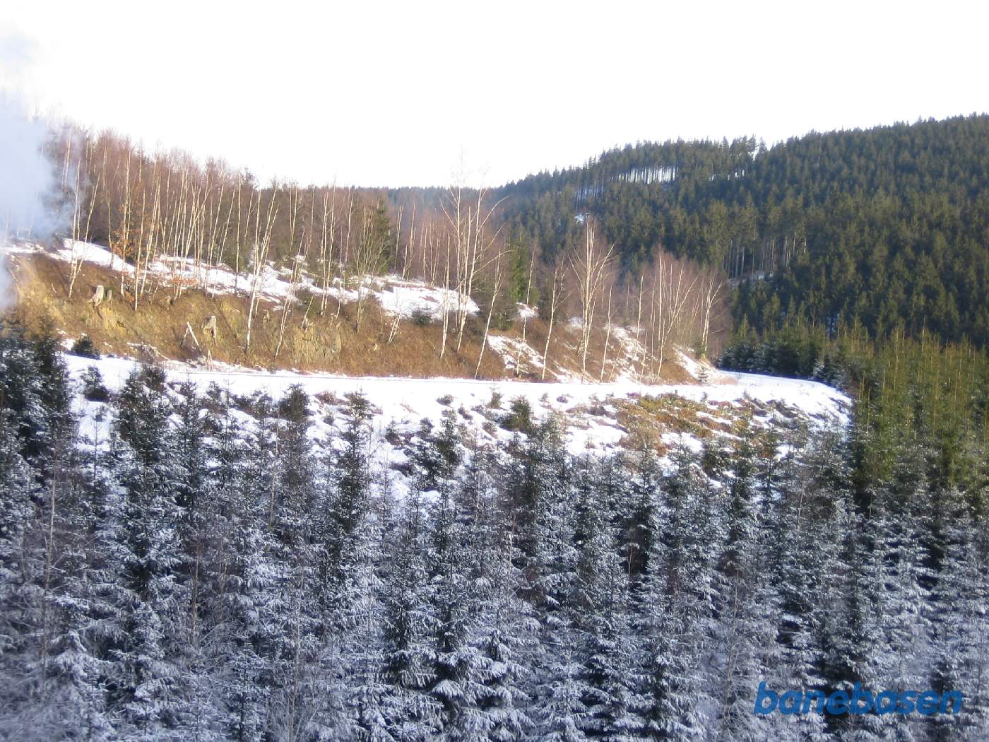 Persontog til Brocken et sted på strækningen mellem Steinerne Renne og Drei Annen Hohne, udsigten bagud