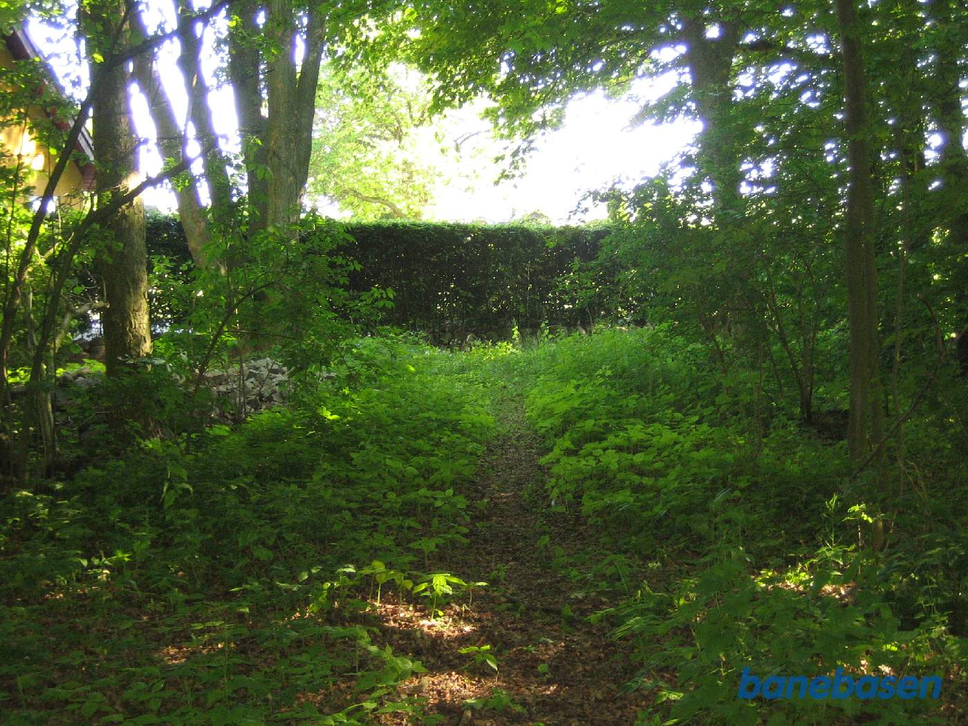 Vi er på vej ud af Ravnsholt skov og kigger væk fra teglværket. Bag hækken til venstre ligger et gult hus