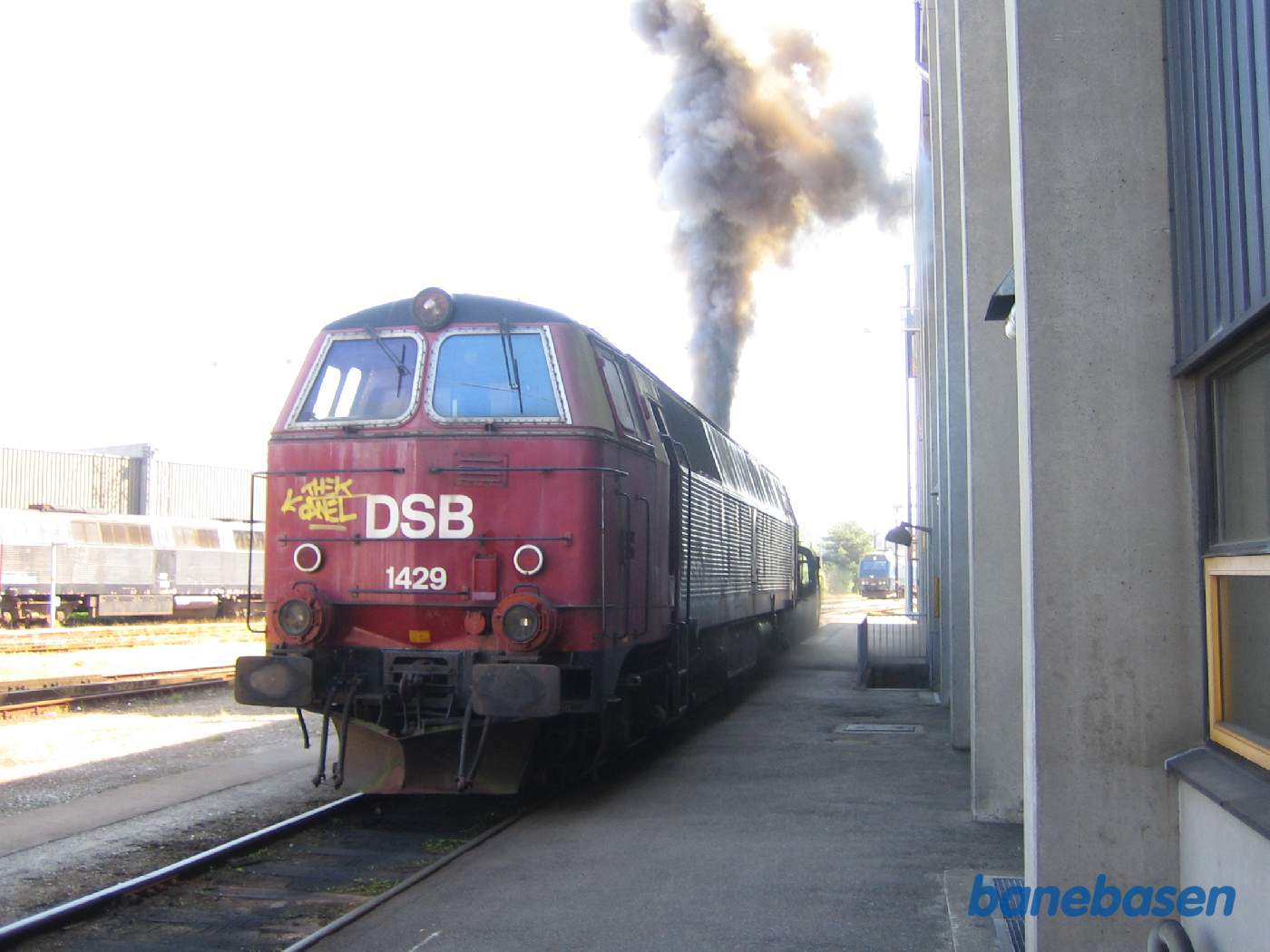 MZ 1429 er et af de 16 lokomotiver DSB