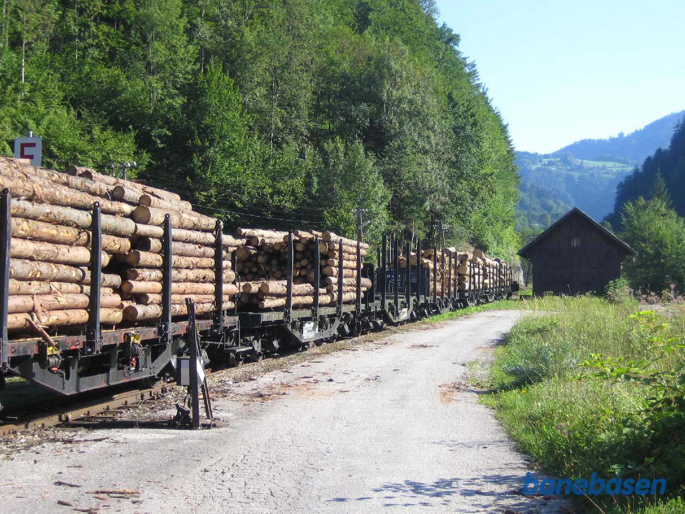 Tømmervognene set fra læssevejen