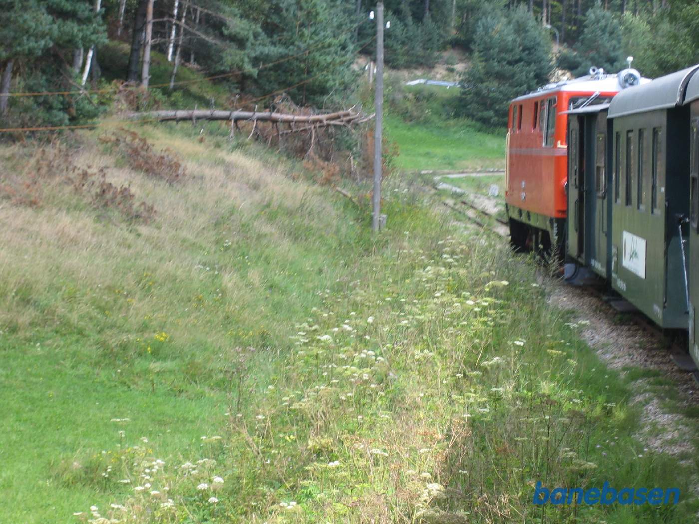 Toget kører gennem landskabet mellem St. Martin og Langslag