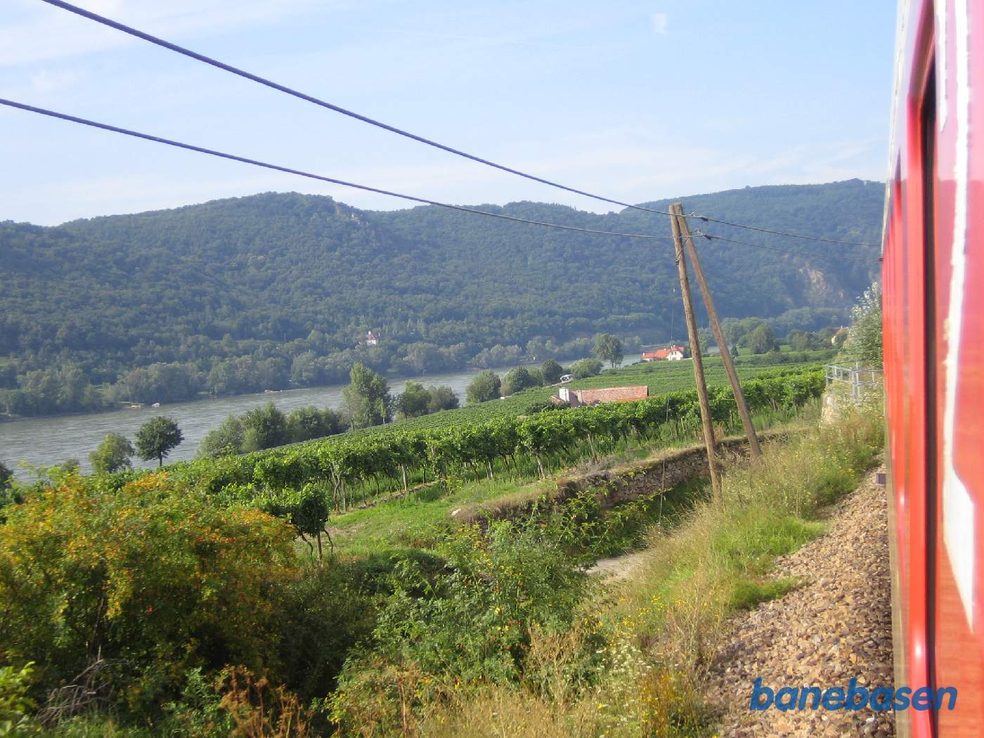 Toget kører gennem grønne vinmarker langs Donau