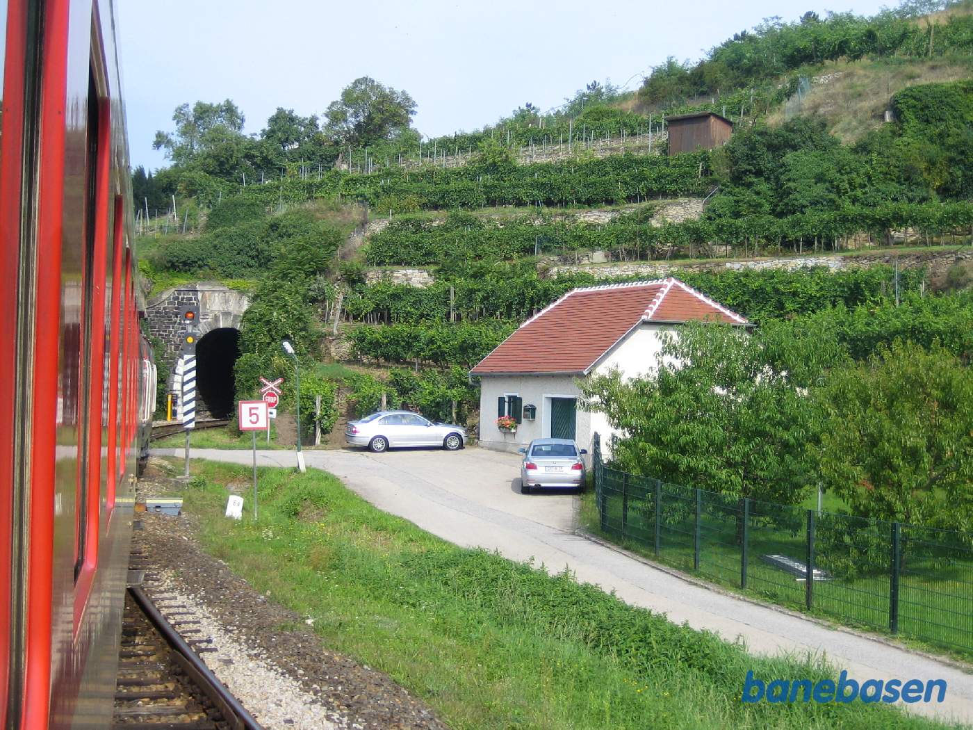Toget kører ind i en tunnel under de grønne vinmarker