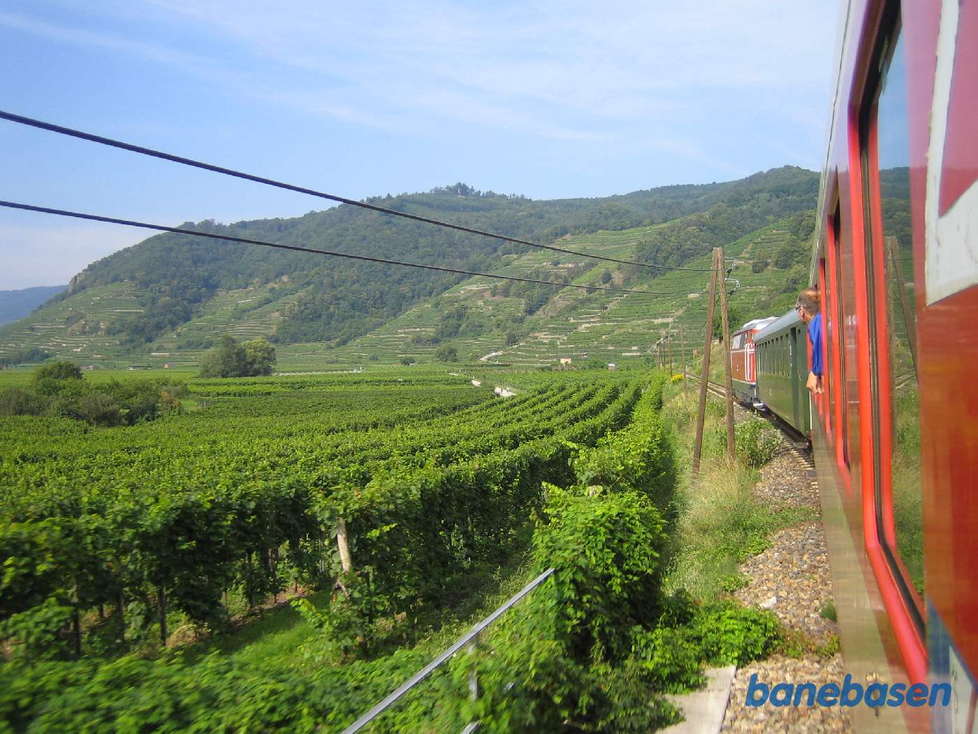 Toget kører gennem grønne vinmarker langs Donau