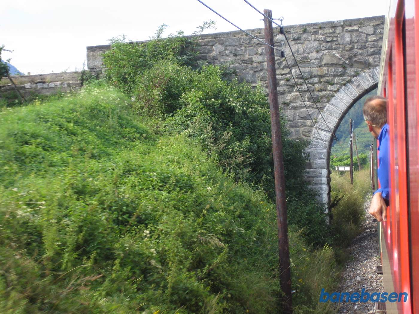 Toget kører gennem grønne vinmarker langs Donau, lille stenbro forude