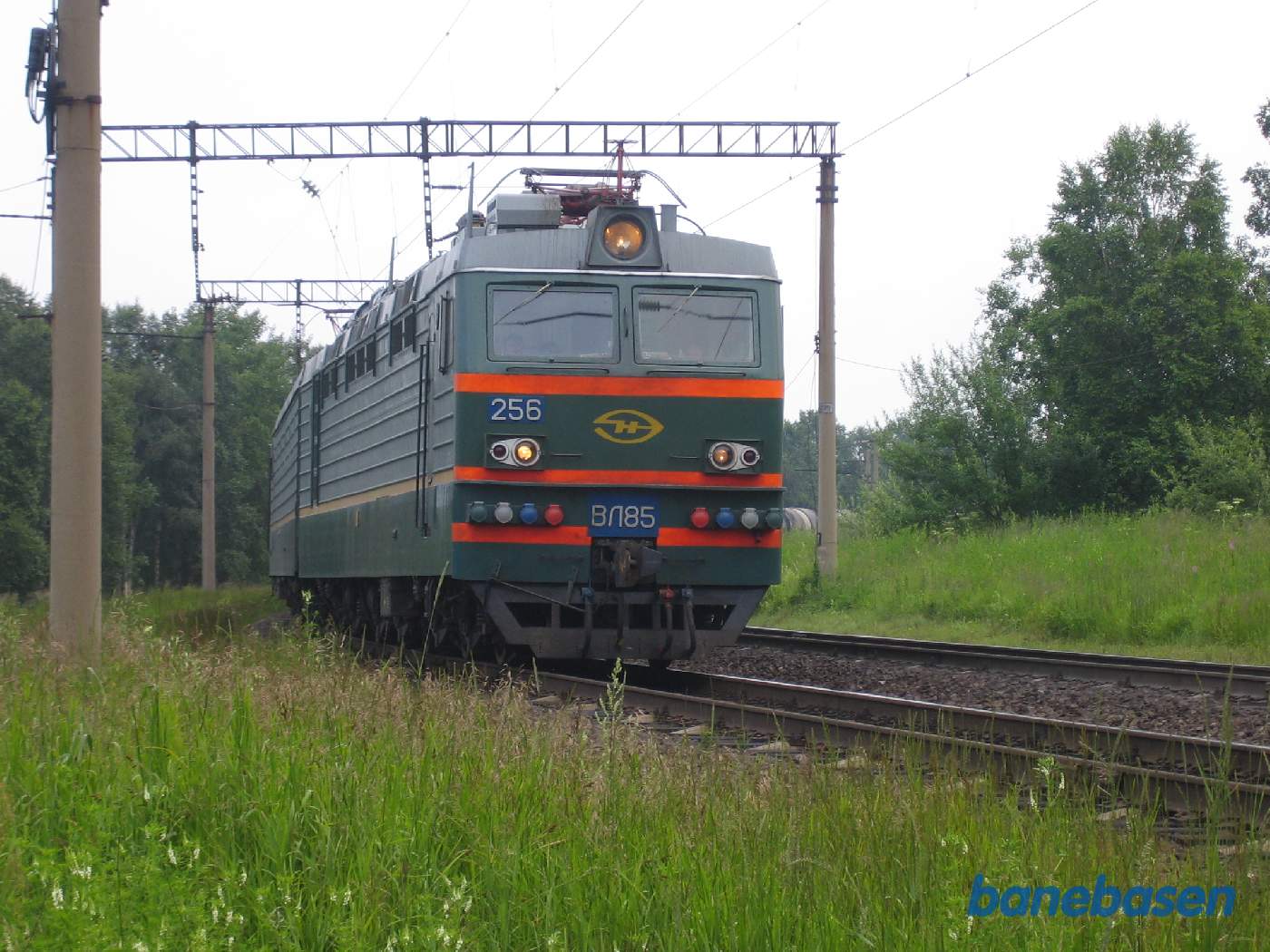 Et godstog passerer sommerhusområdet i retning mod Ulan-Bator