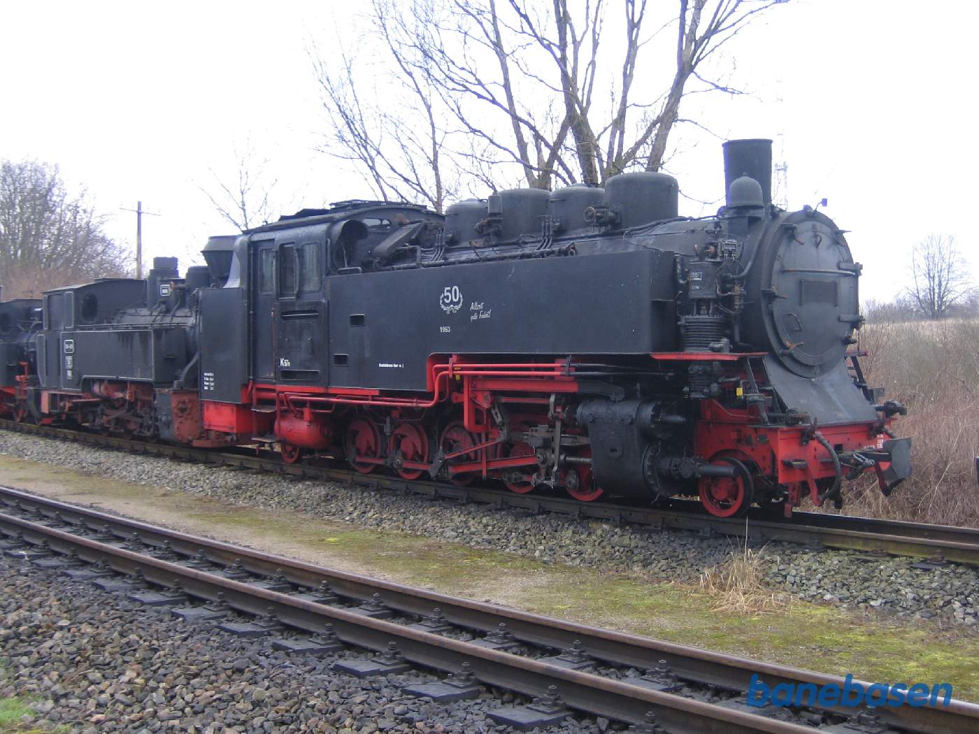 En række udstillede damplokomotiver