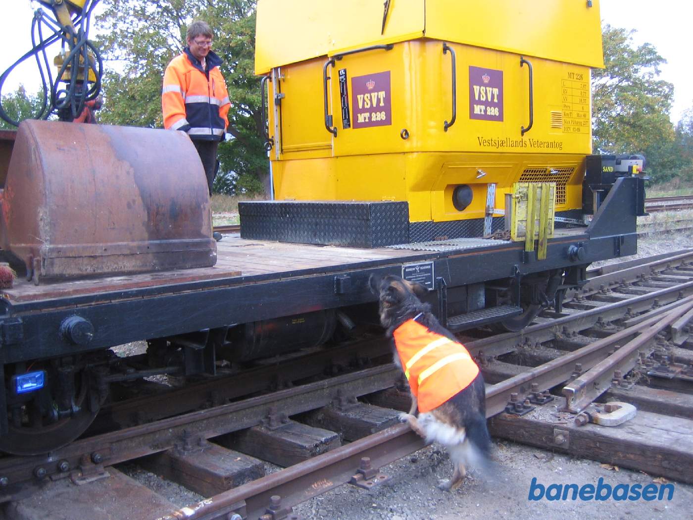 Vinduerne er dækket til med plader og en rigtig sporhund med sikkerhedsvest kigger op på sin far Vinduerne er dækket til med plader og en rigtig sporhund med sikkerhedsvest kigger op på sin far