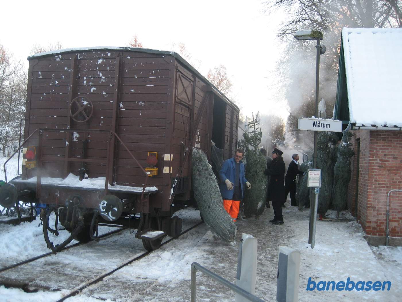 Godsvognen fyldes op med juletræer som gæsterne har fældet i plantagen