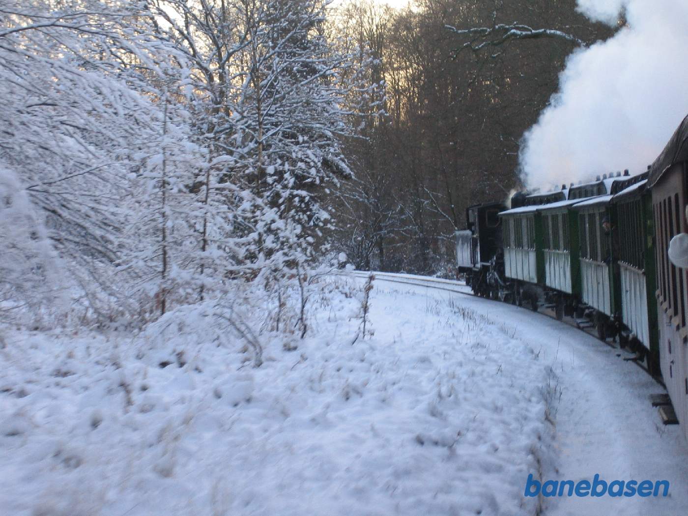 Toget på vej gennem skoven i kurven lige før overkørslen i Mårum, hvor gæsterne står og venter med deres juletræer