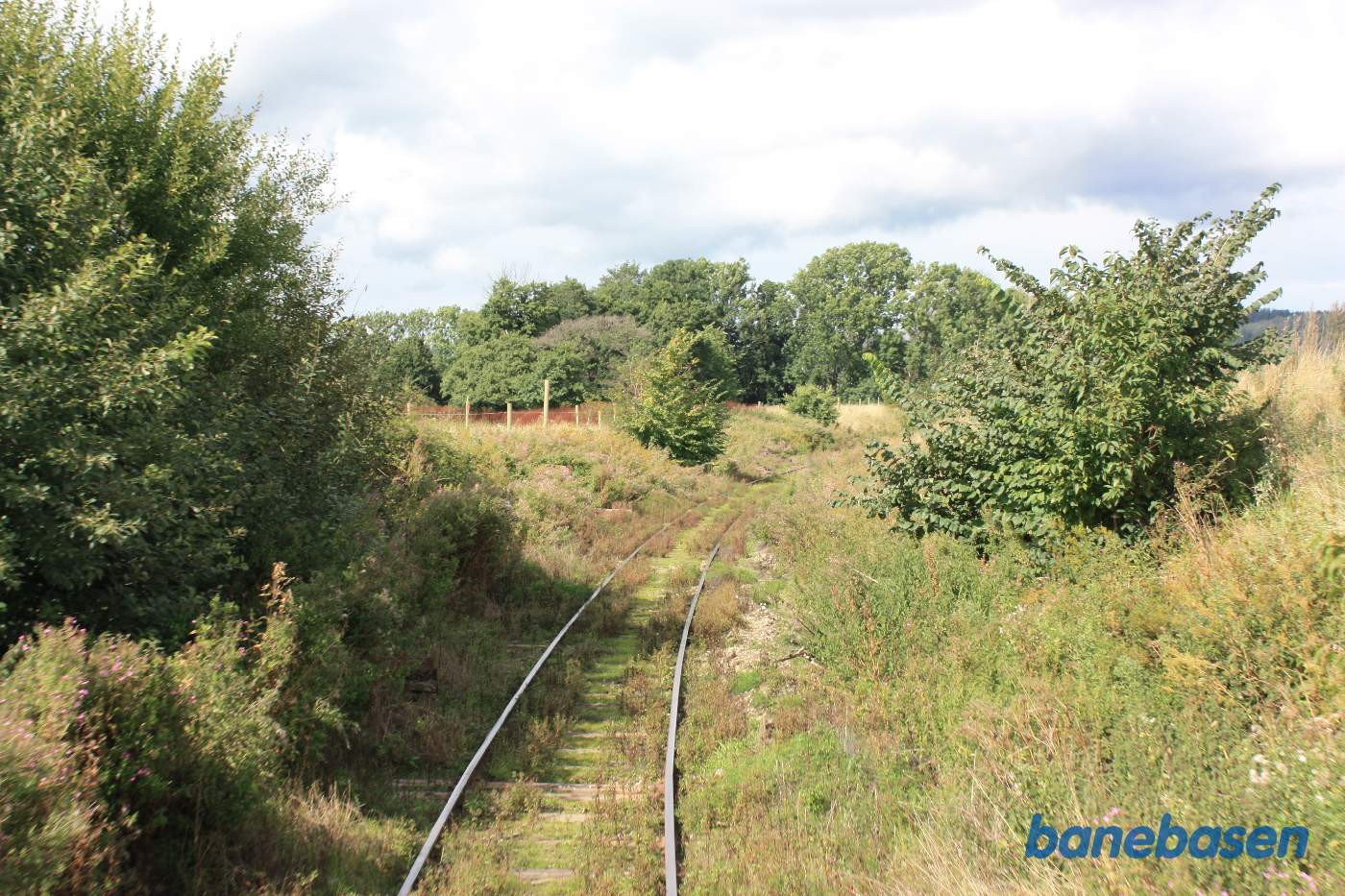 Et bagskud fra toget til Sankt Olof et sted på strækningen mellem Brösarp og Ravlundabro