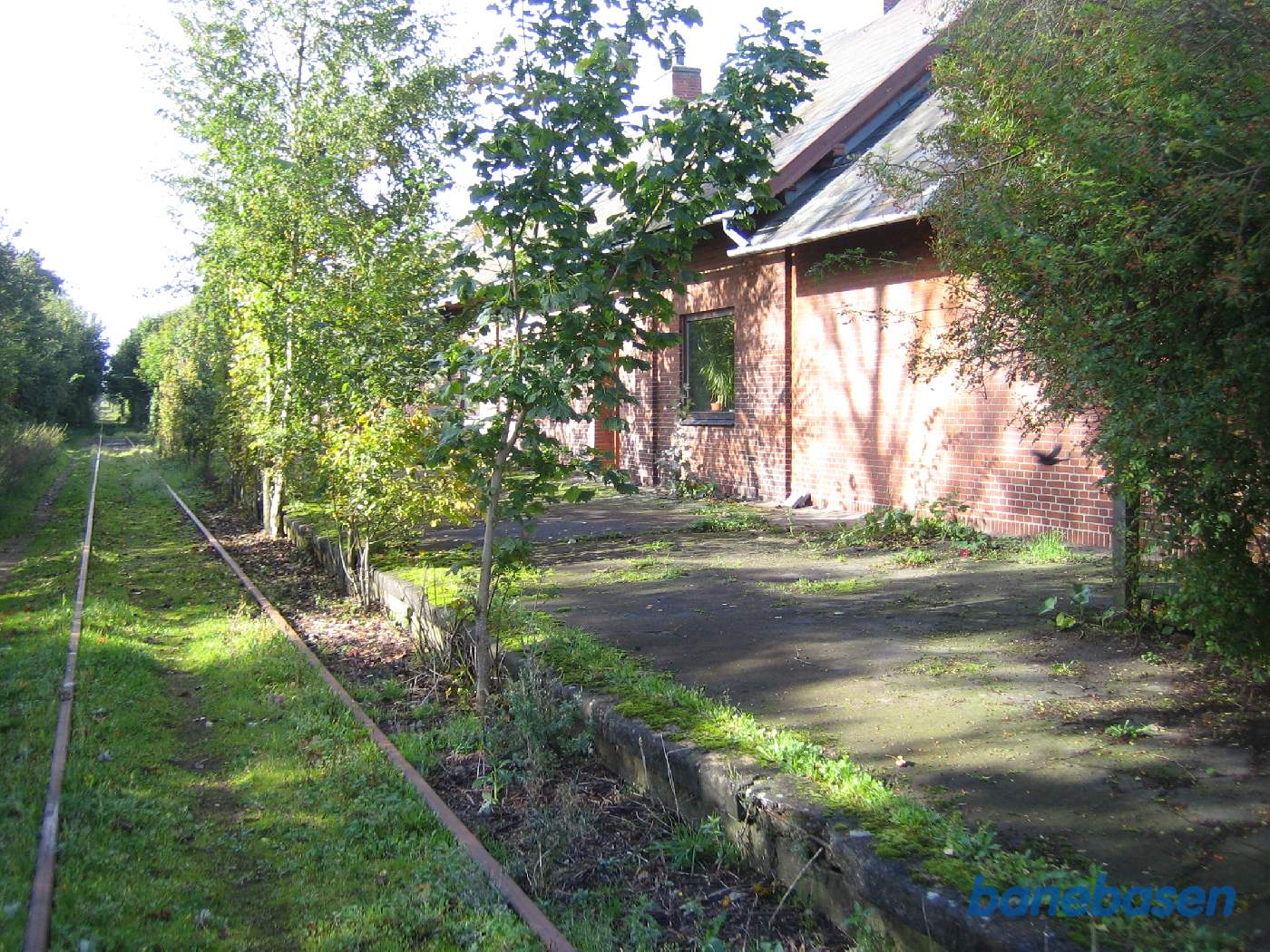 Træerne i siden af sporet vidner om, at det efterhånden er længe siden der sidst har kørt rigtige tog på strækningen, stationsbygningen ses inde bag træerne