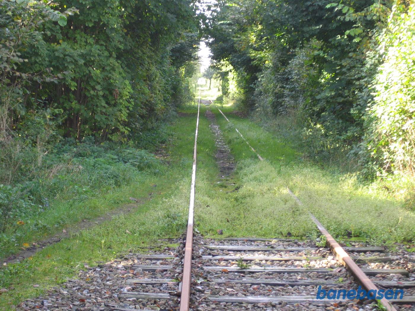 Et vue fremad mod Assens Et vue fremad mod Assens