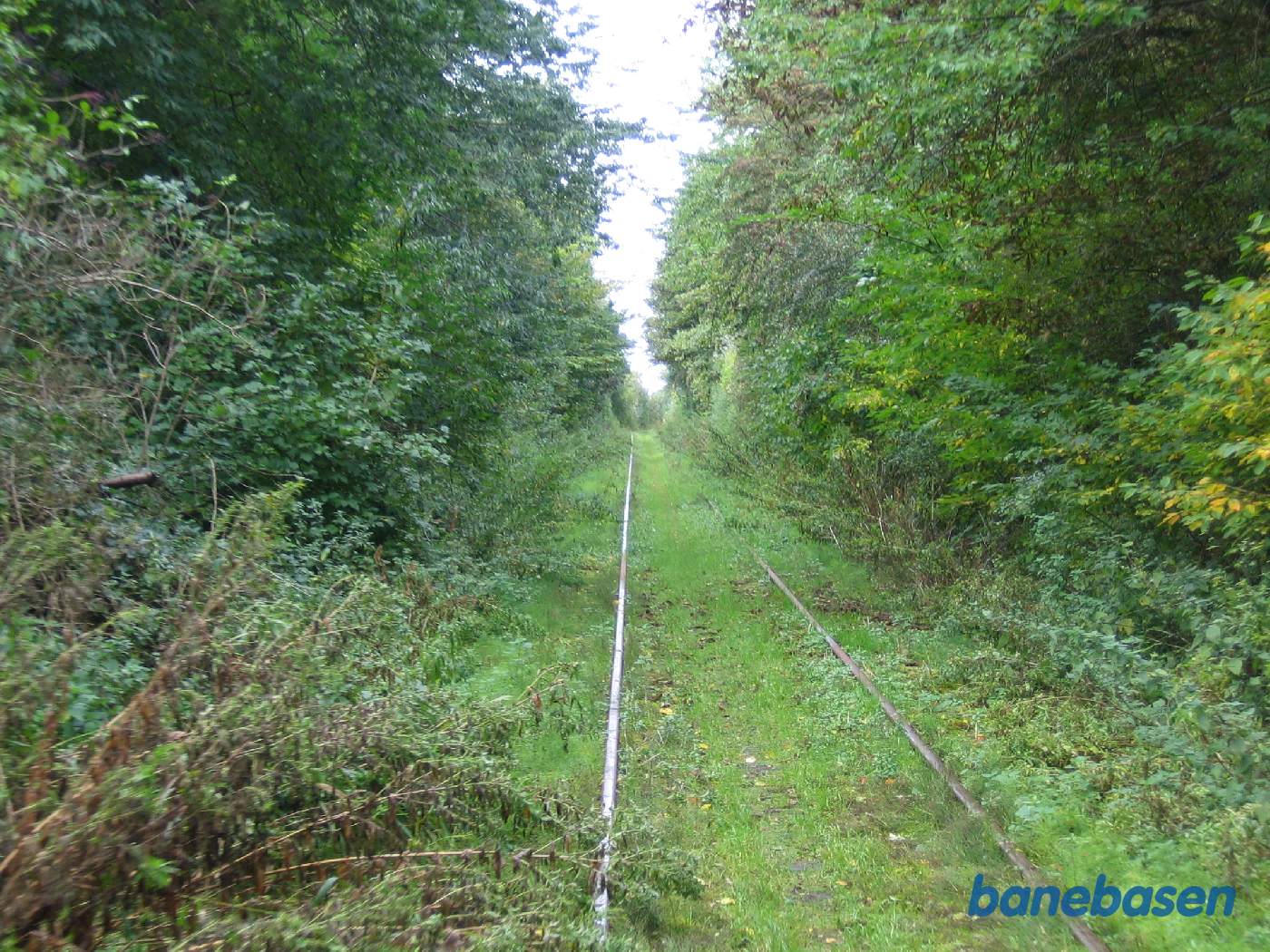 Et vue fremad mod Assens i den store udgravning med træer på begge sider. Det ses tydeligt, at det ikke er så ofte der her kører skinnecykler Et vue fremad mod Assens i den store udgravning med træer på begge sider. Det ses tydeligt, at det ikke er så ofte der her kører skinnecykler