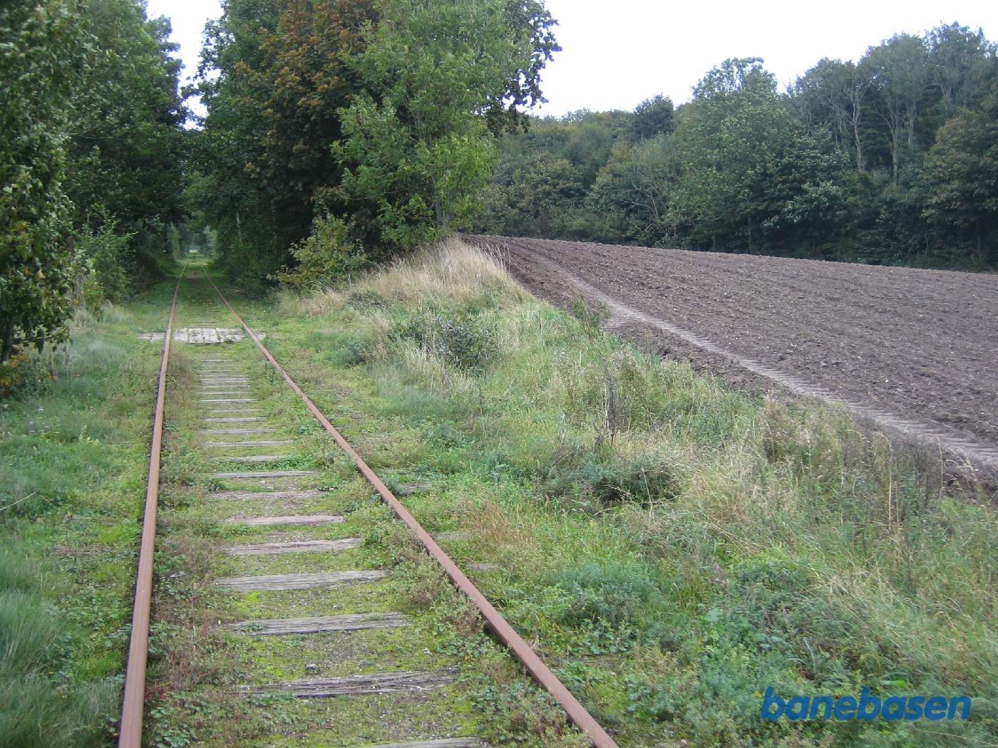 Et vue ud langs strækningen i retning mod Tommerup ca. 700 meter før Knarreborg der ligger ude for enden af synsfeltet