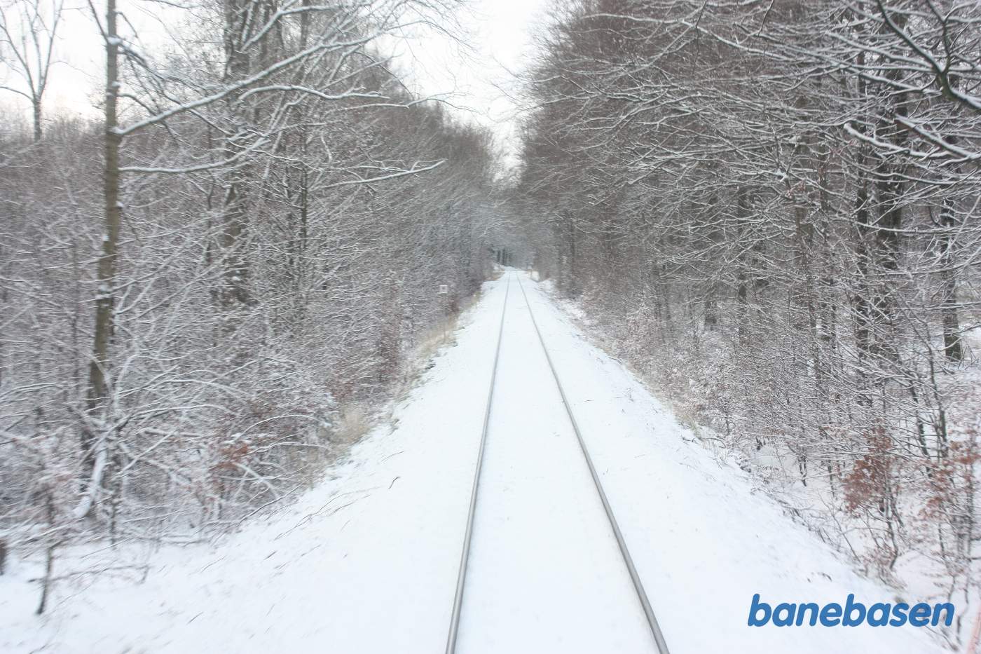 L1 kører gennem den flotte sneklædte Gribskov et sted på strækningen mellem Saltrup og Mårum L1 kører gennem den flotte sneklædte Gribskov et sted på strækningen mellem Saltrup og Mårum