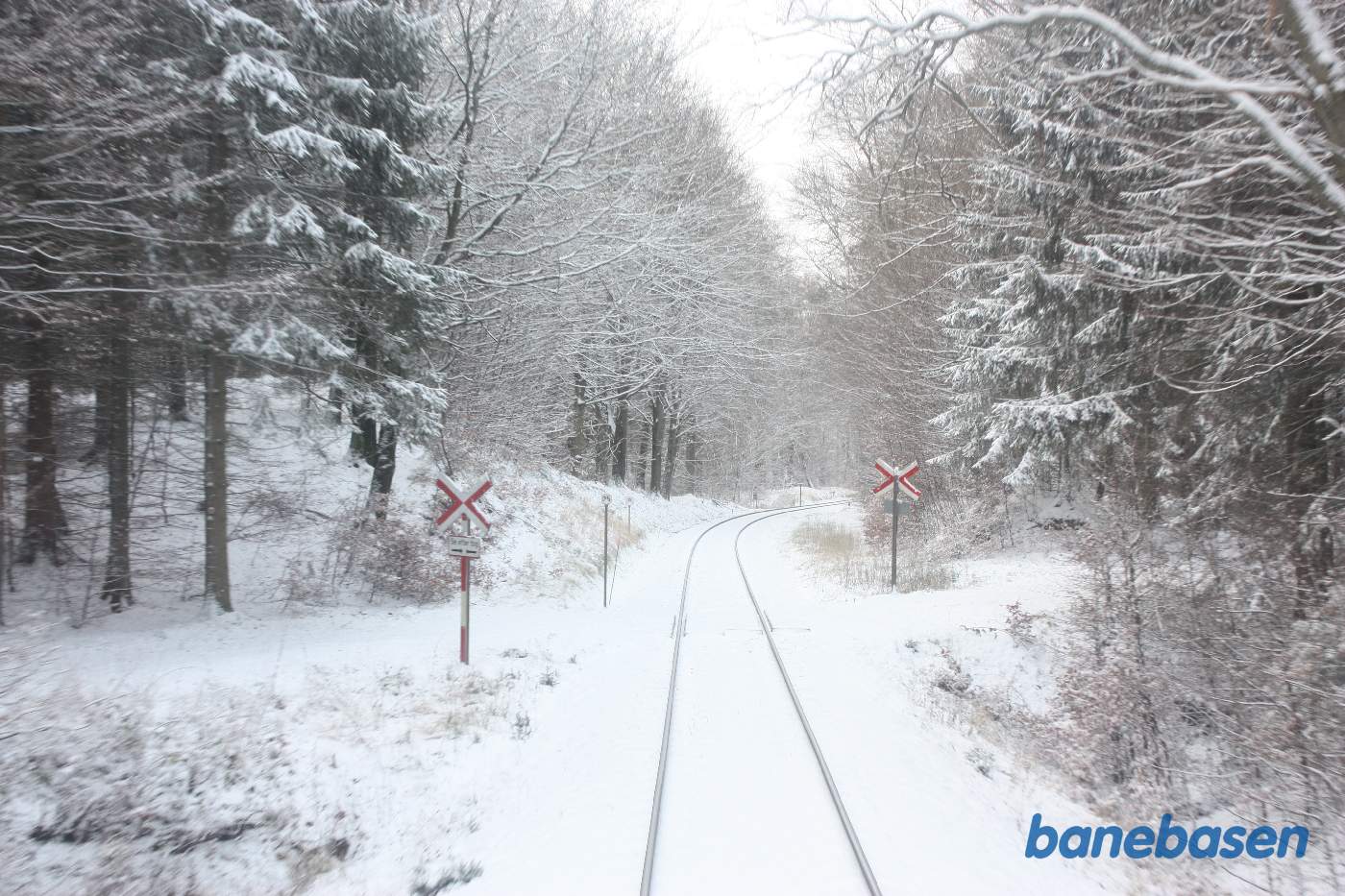 L1 kører gennem den flotte sneklædte Gribskov et sted på strækningen mellem Saltrup og Mårum