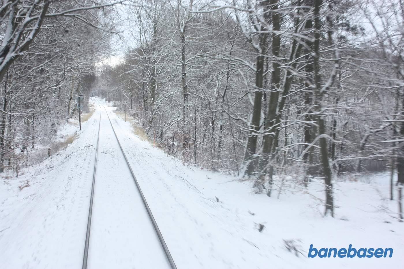 L1 kører gennem den flotte sneklædte Gribskov et sted på strækningen mellem Gribsø og Kildeport L1 kører gennem den flotte sneklædte Gribskov et sted på strækningen mellem Gribsø og Kildeport