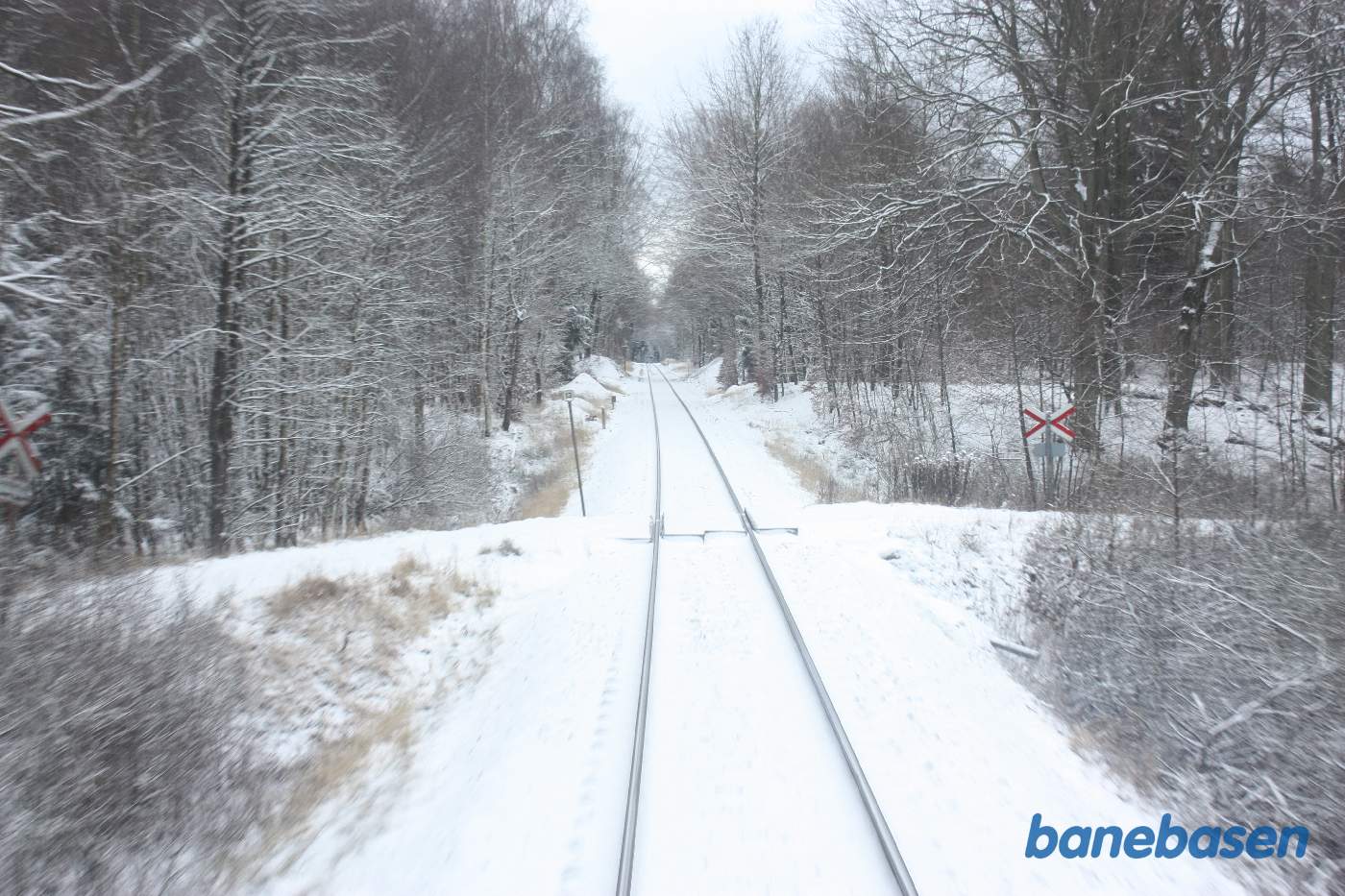 L1 kører gennem den flotte sneklædte Gribskov et sted på strækningen mellem Gribsø og Kildeport