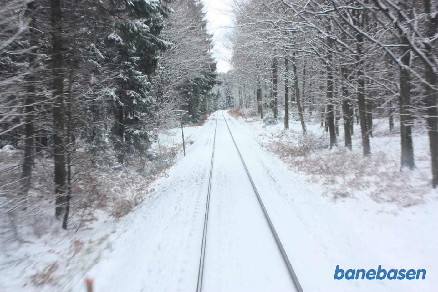 L1 kører gennem den flotte sneklædte Gribskov et sted på strækningen mellem Gribsø og Kildeport