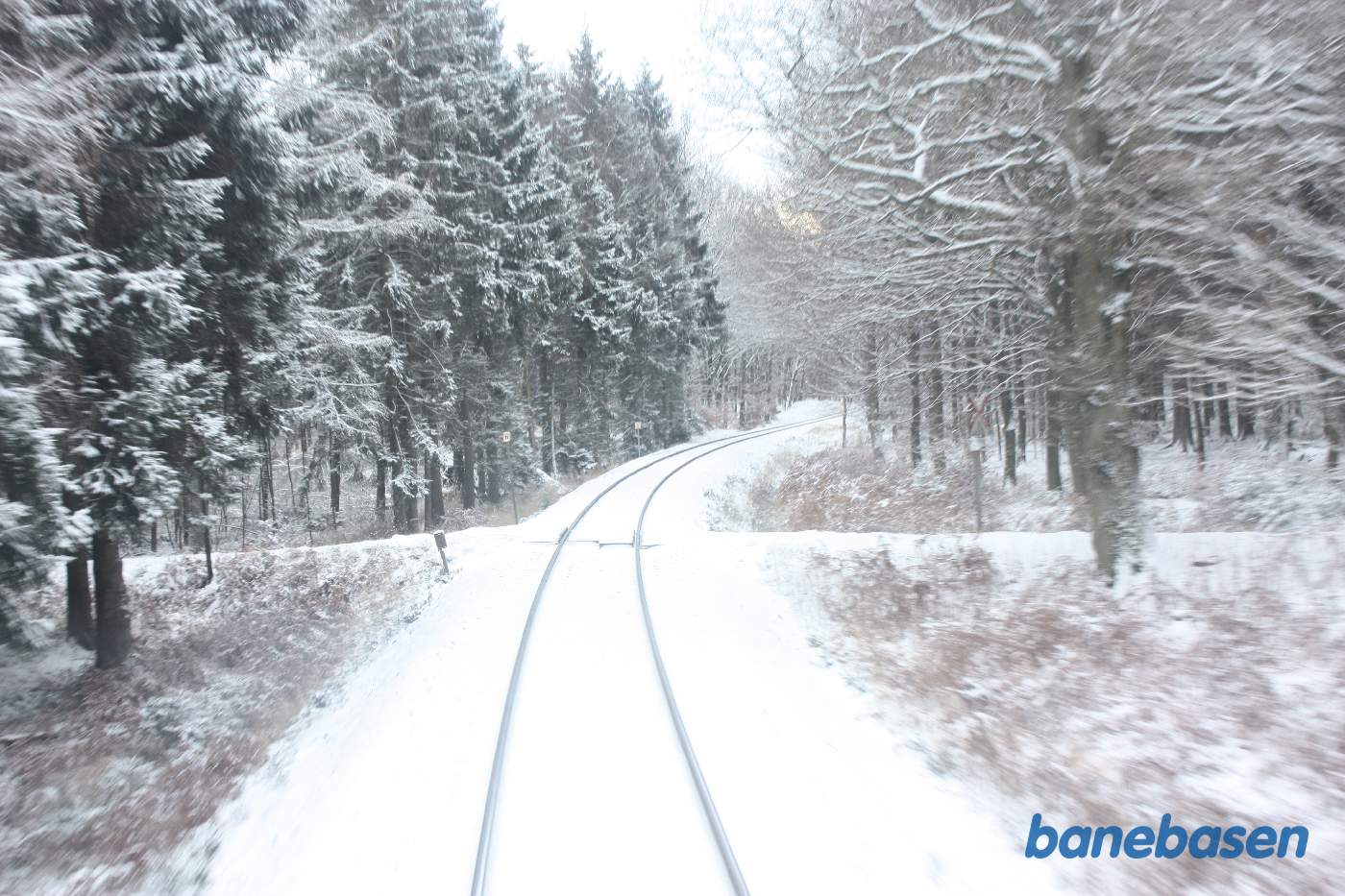 L1 kører gennem den flotte sneklædte Gribskov et sted på strækningen mellem Gribsø og Kildeport