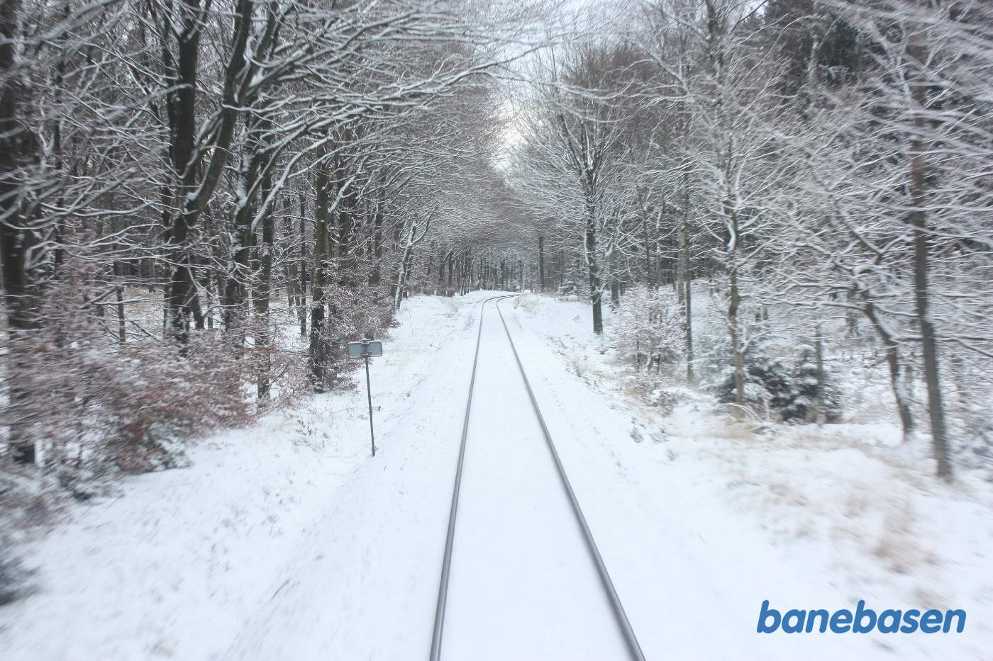 L1 kører gennem den flotte sneklædte Gribskov et sted på strækningen mellem Gribsø og Kildeport L1 kører gennem den flotte sneklædte Gribskov et sted på strækningen mellem Gribsø og Kildeport