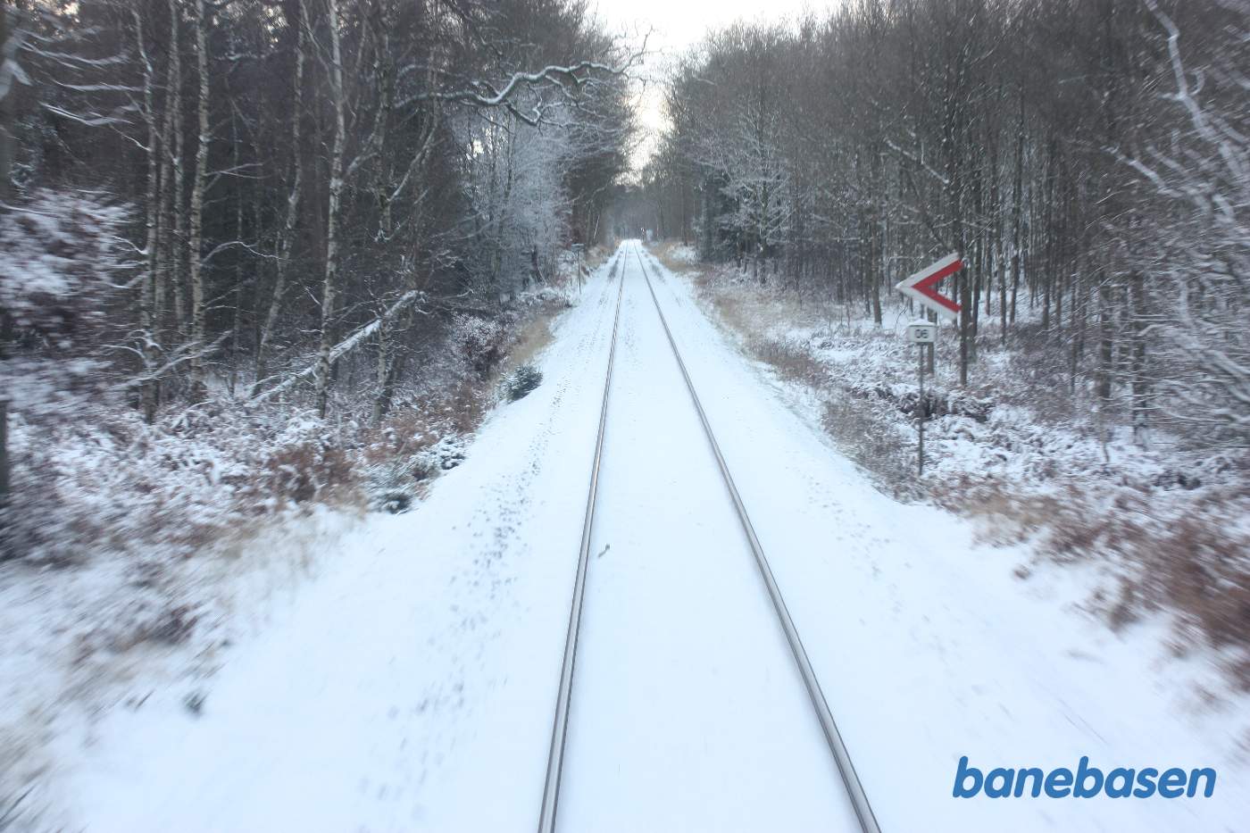 L1 kører gennem den flotte sneklædte Gribskov et sted på strækningen mellem Gribsø og Kildeport