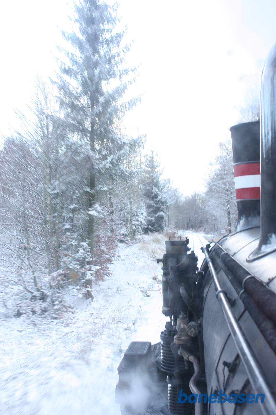 Damptoget kører gennem den flotte sneklædte Gribskov, her mellem Kildeport og Kagerup
