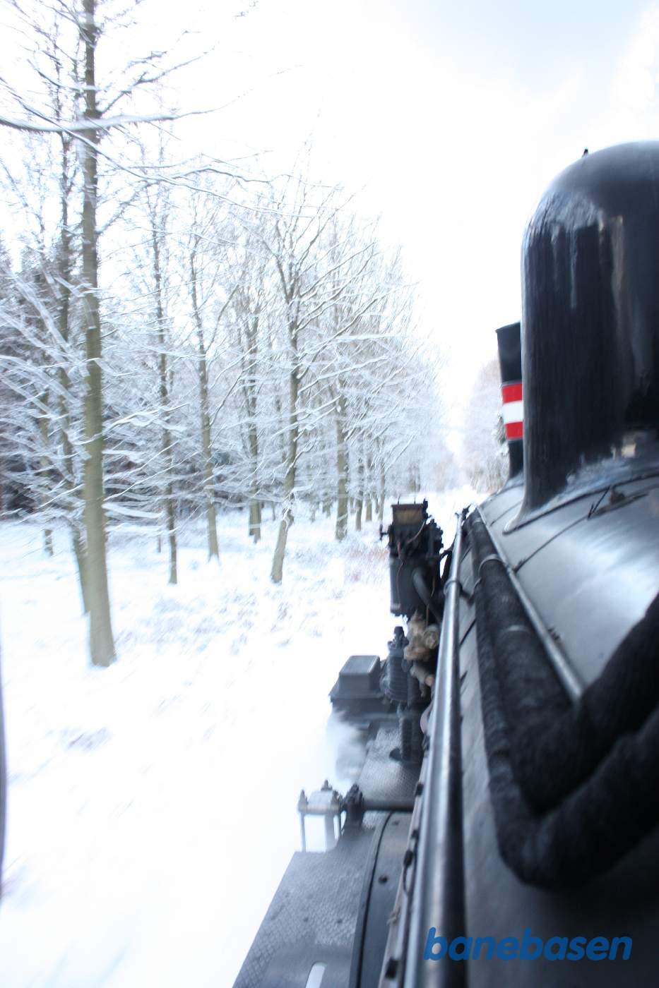 Damptoget kører gennem den flotte sneklædte Gribskov, her mellem Kildeport og Kagerup