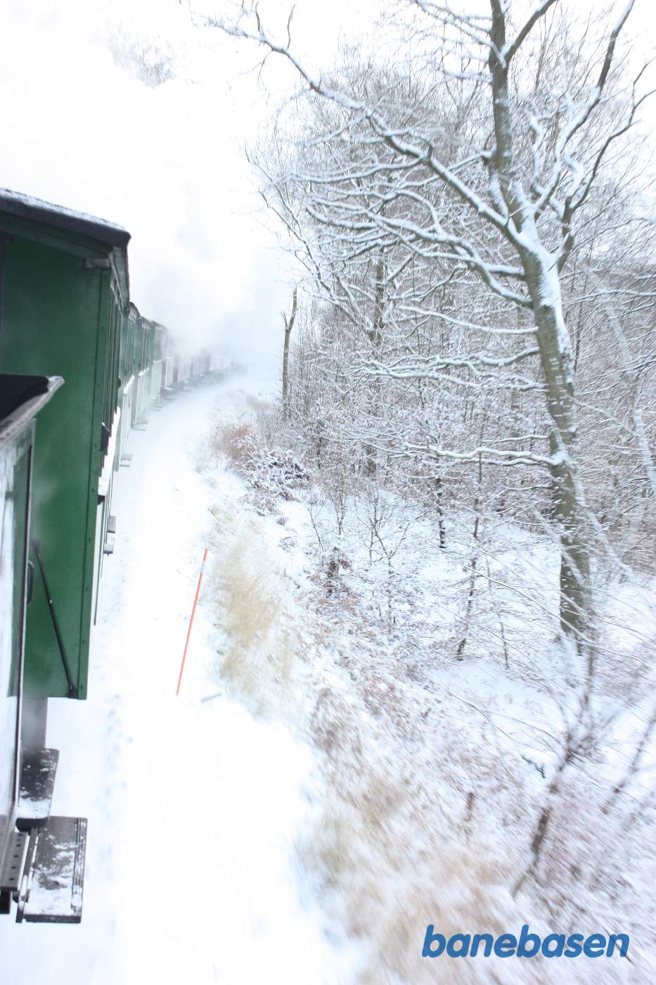 Damptoget kører gennem den flotte sneklædte Gribskov, her mellem Kildeport og Kagerup