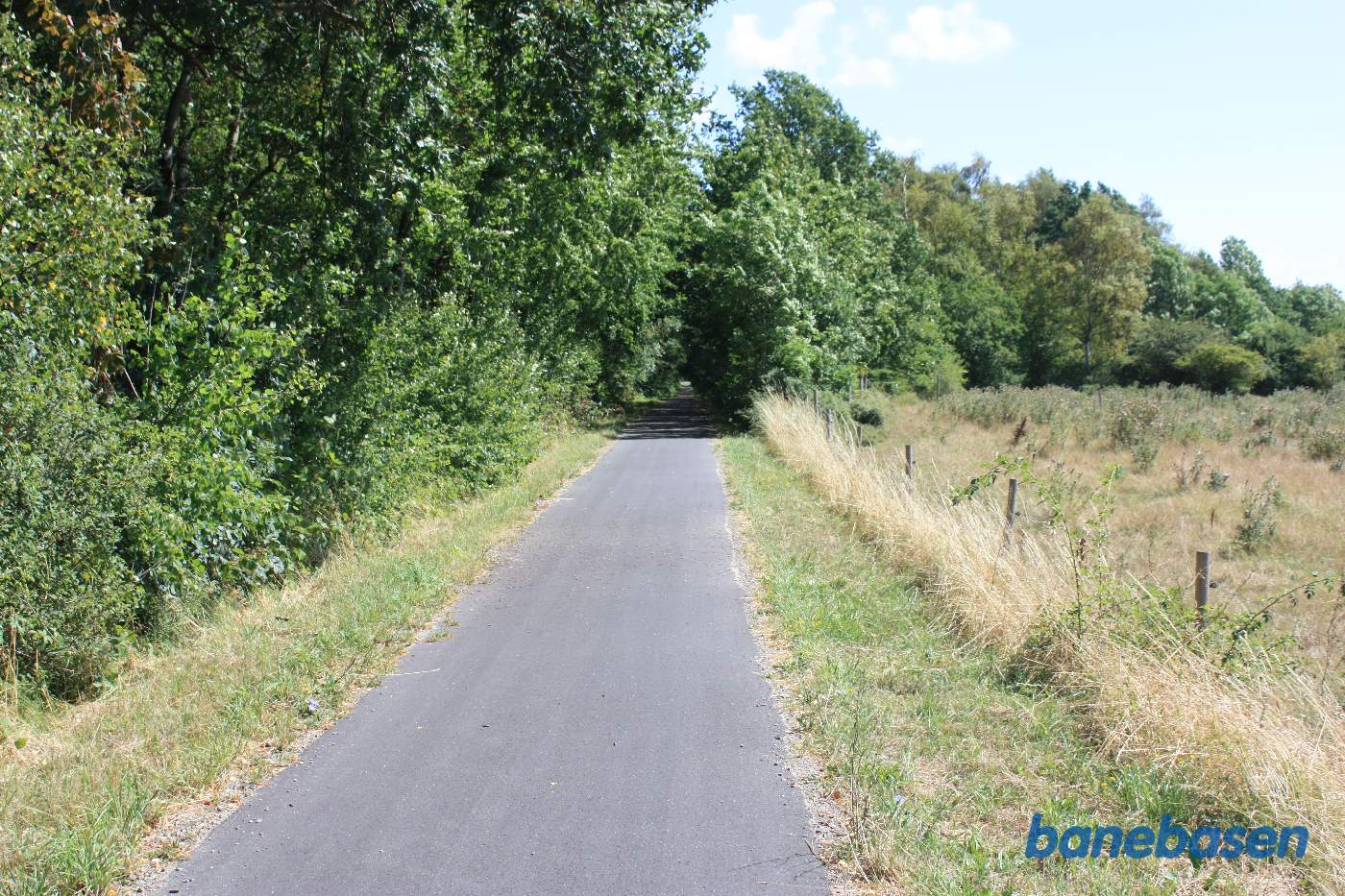 Efter golfbanen løber banen ind i lidt skovbevoksning Efter golfbanen løber banen ind i lidt skovbevoksning