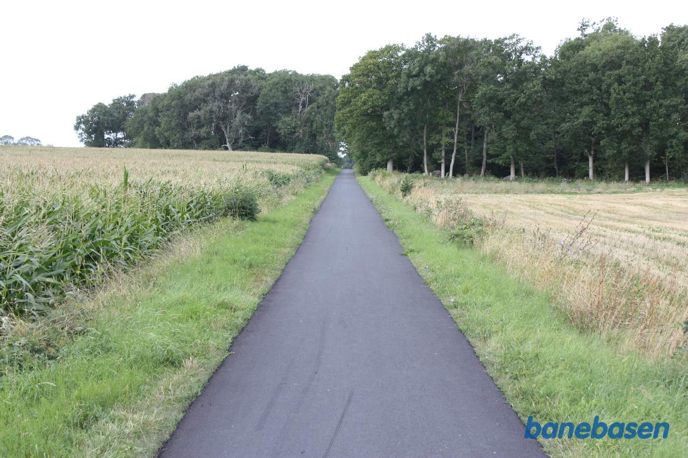 Vi står på Vellensbyvejen. Her kigger vi i retning mod Rønne Vi står på Vellensbyvejen. Her kigger vi i retning mod Rønne