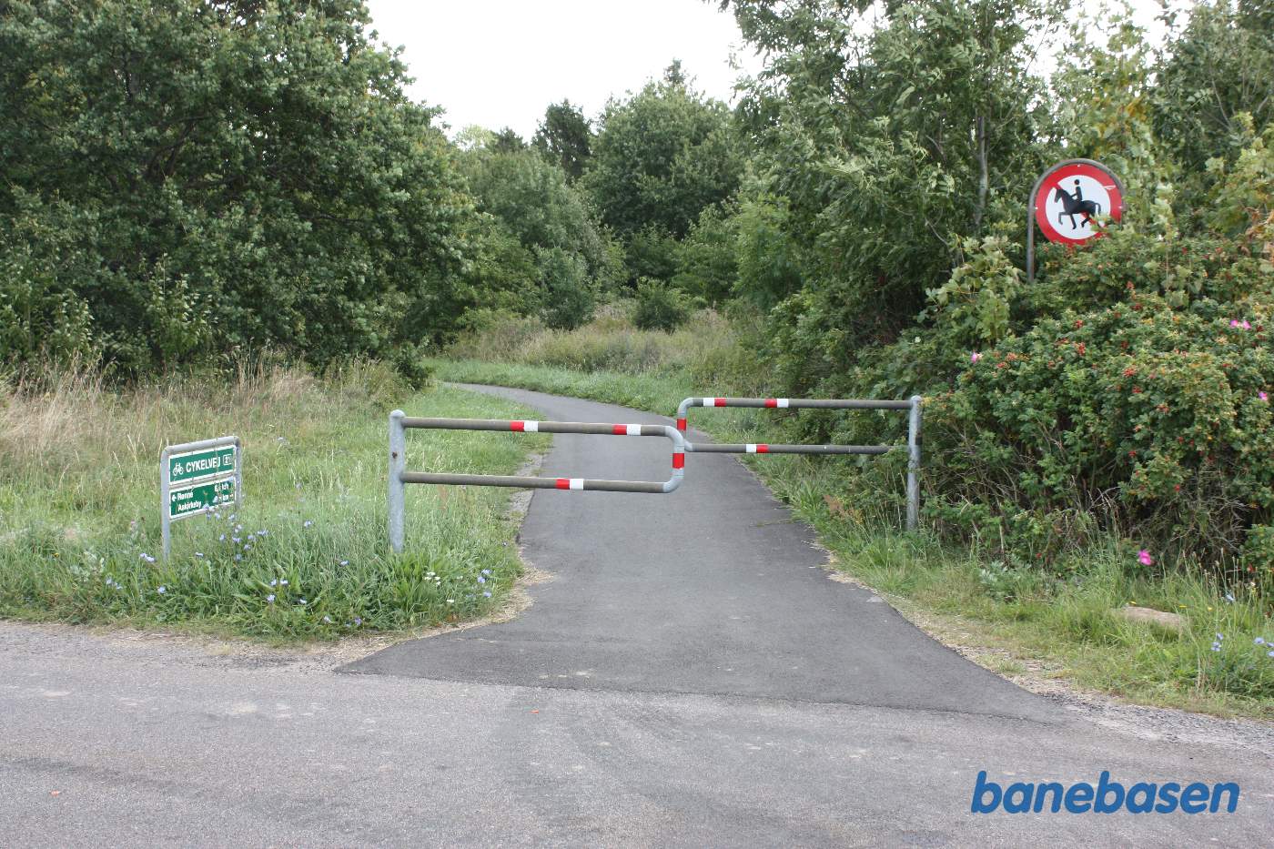Vi står på Vellensbyvejen. Her kigger vi i retning mod Nexø. Da stationen blev solgt fra, var det nødvendigt at forlægge cykelstien et stykke væk fra stationsbygningen, derfor ses stien at svinge til venstre Vi står på Vellensbyvejen. Her kigger vi i retning mod Nexø. Da stationen blev solgt fra, var det nødvendigt at forlægge cykelstien et stykke væk fra stationsbygningen, derfor ses stien at svinge til venstre