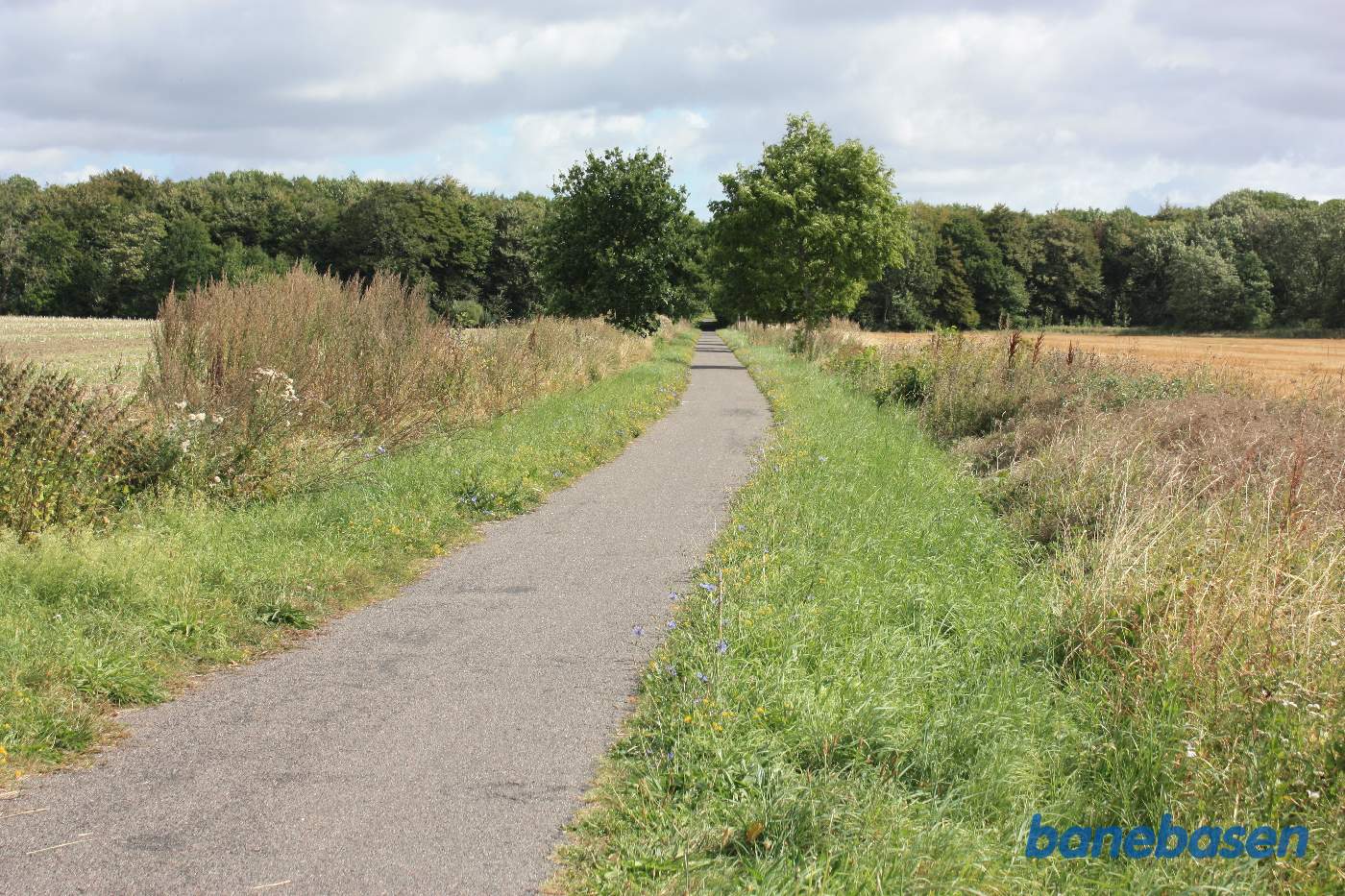 Den videre tracé mod skoven i retning mod Nexø Den videre tracé mod skoven i retning mod Nexø