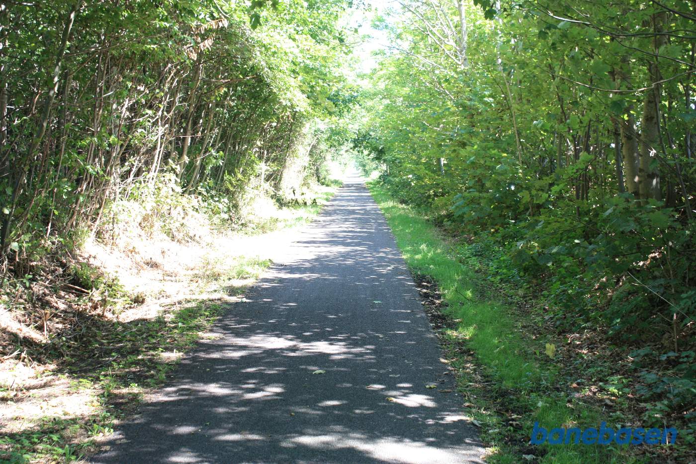 Vi kører igennem en lille skov i retning mod Nexø