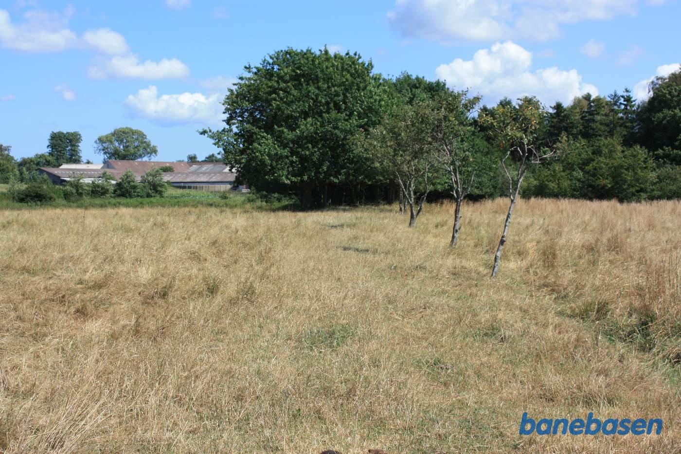 Vi står på Smørengevejen og kigger mod Nexø. Træerne markerer hvor banen lå