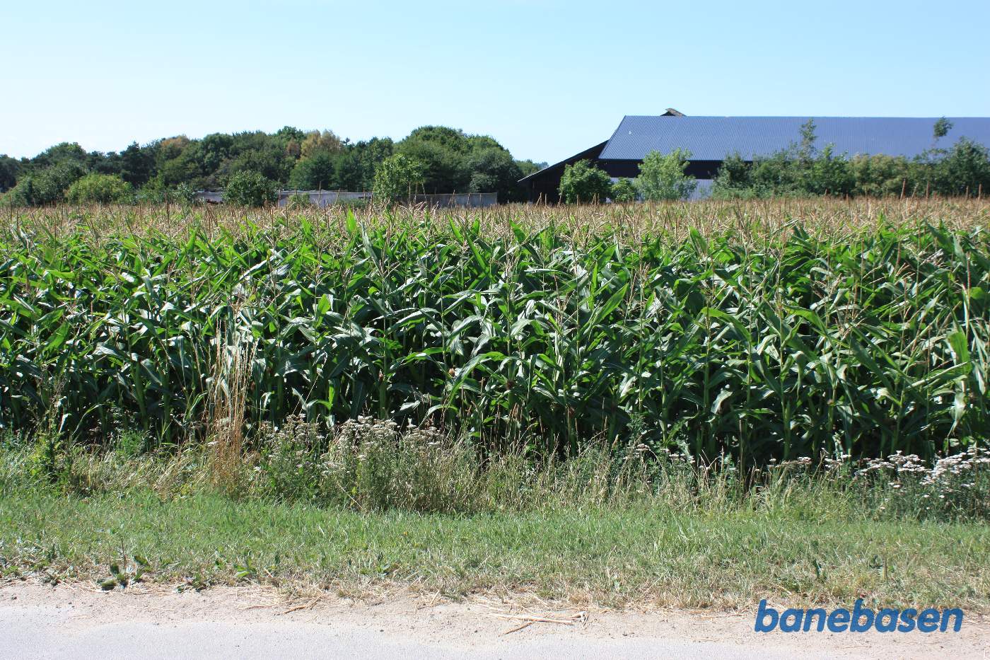 Vi står på Rønnevej og kigger mod Rønne Vi står på Rønnevej og kigger mod Rønne
