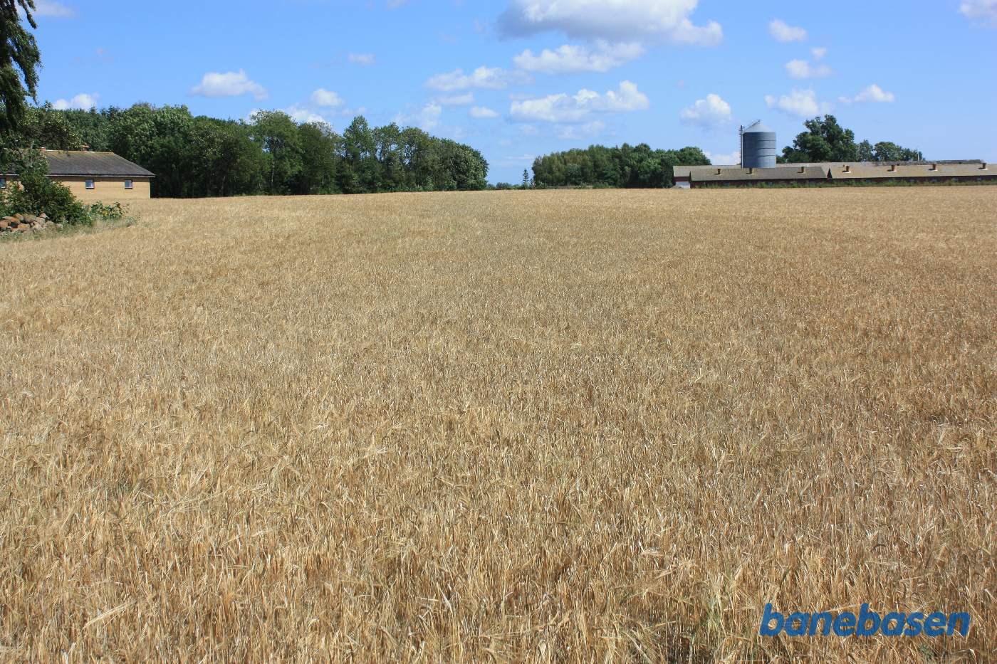 Vi står på Rønnevej og kigger mod Nexø