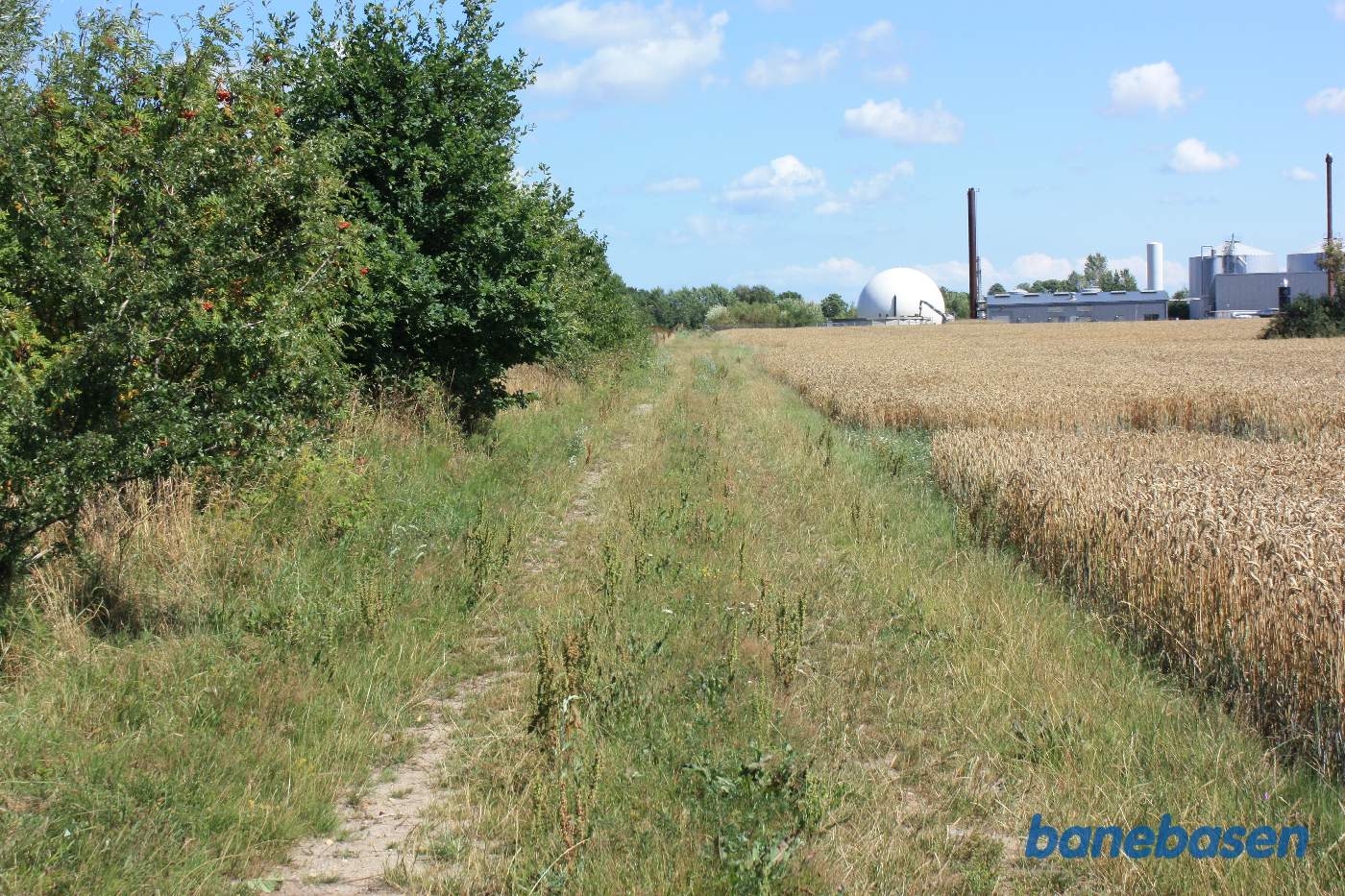 Vi står på markvejen og kigger mod Nexø