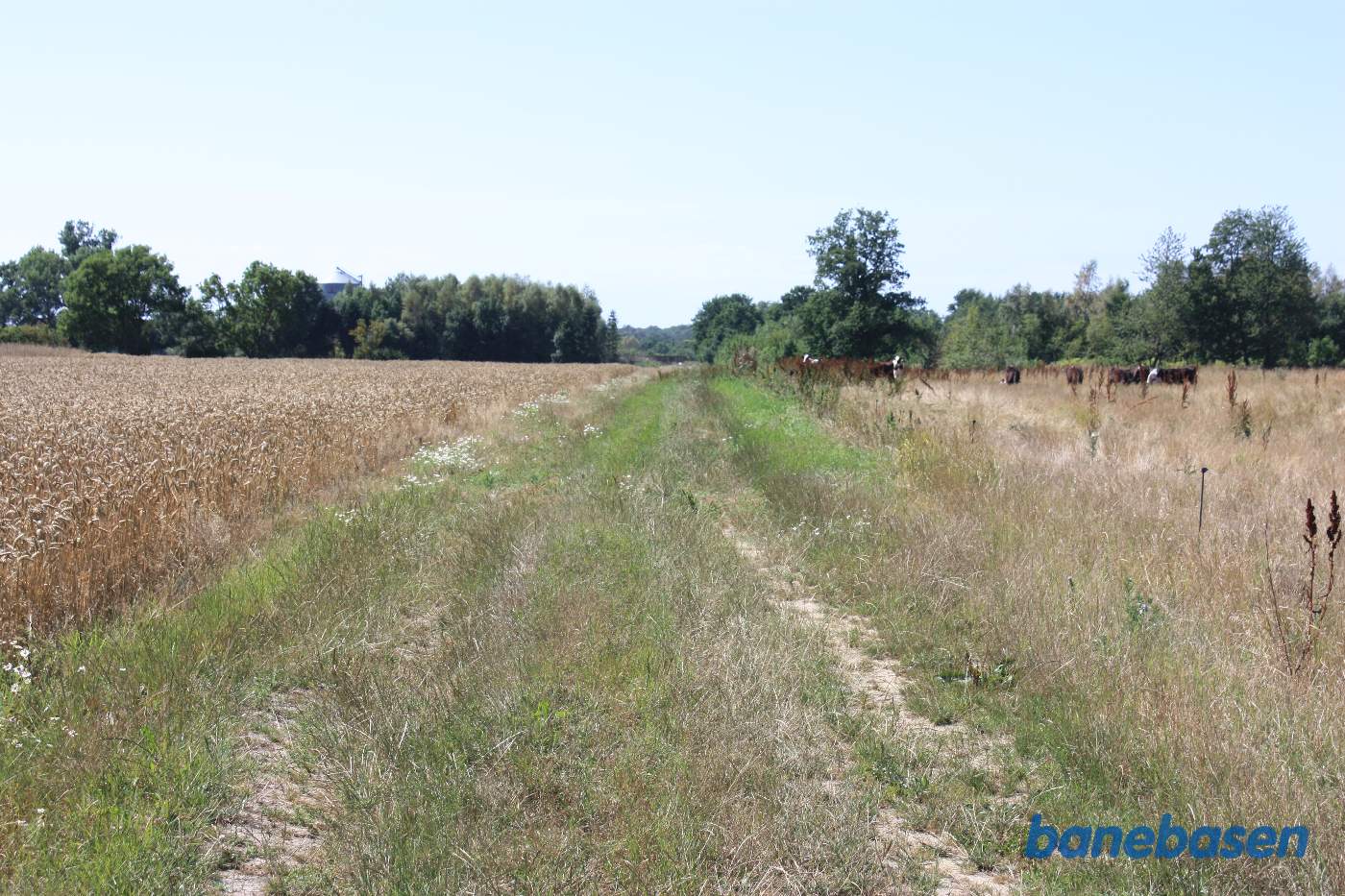 Vi står for enden af Rønnevej og kigger mod Rønne