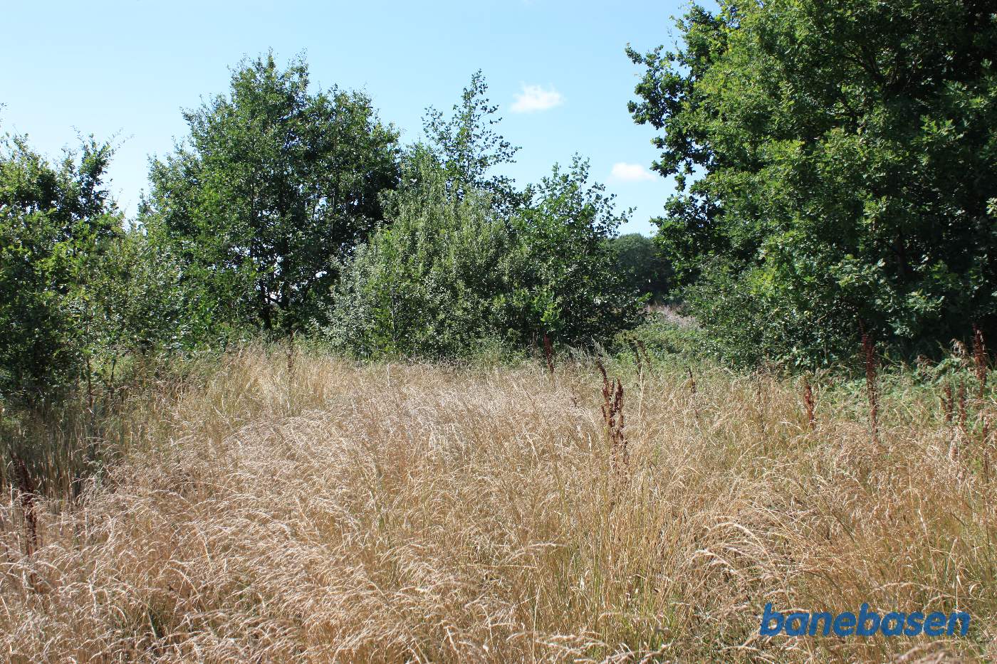 Vi står på trinbrættet og kigger mod Rønne
