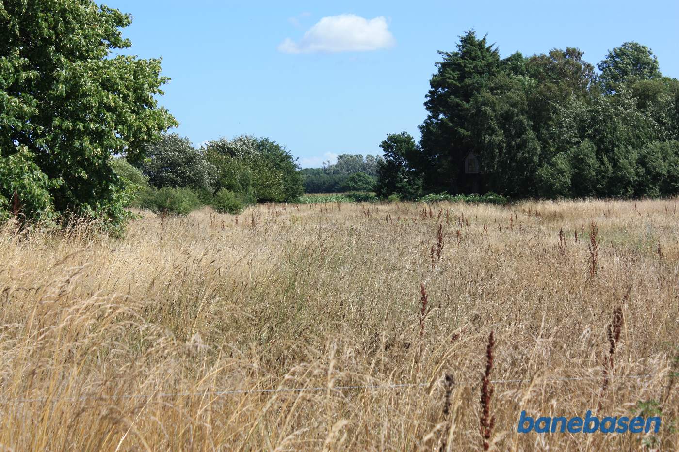 Vi står på trinbrættet og kigger mod Nexø