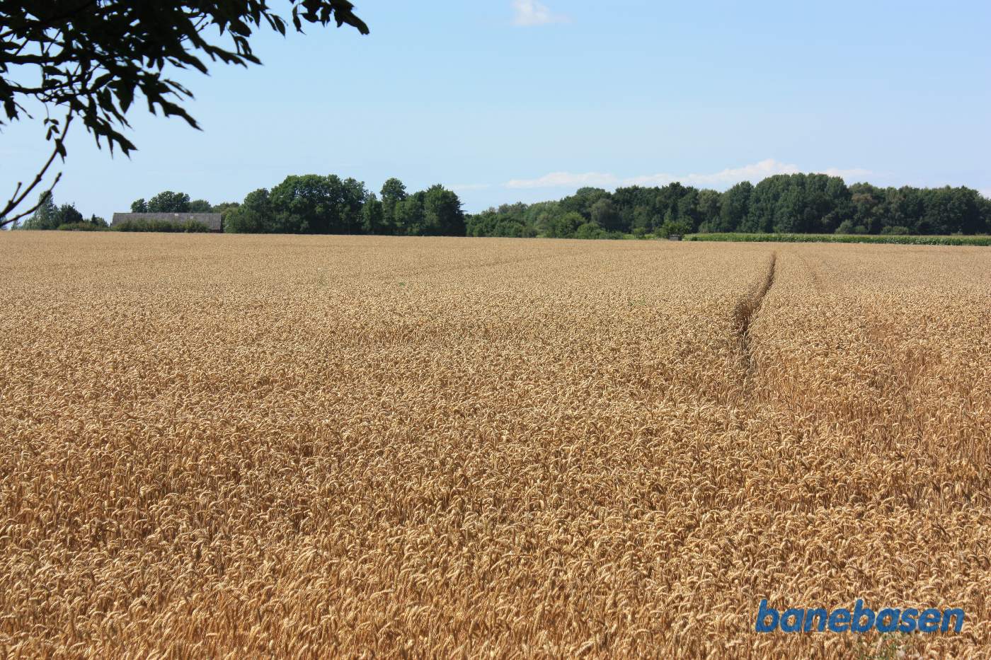 Vi er tæt på Læså og kigger i retning mod Rønne
