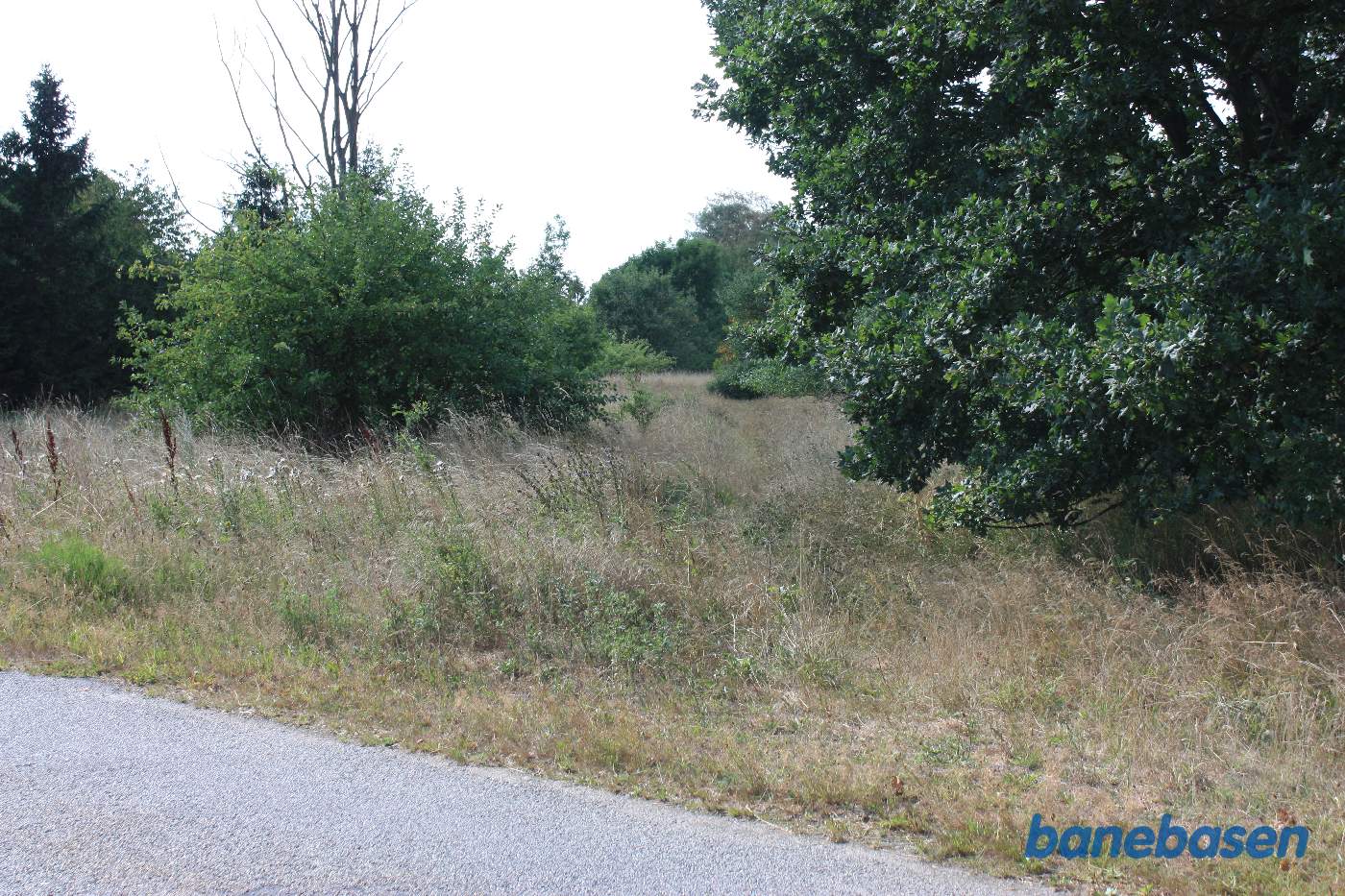 Vi er på Skagelfaldsvejen og kigger mod Rønne